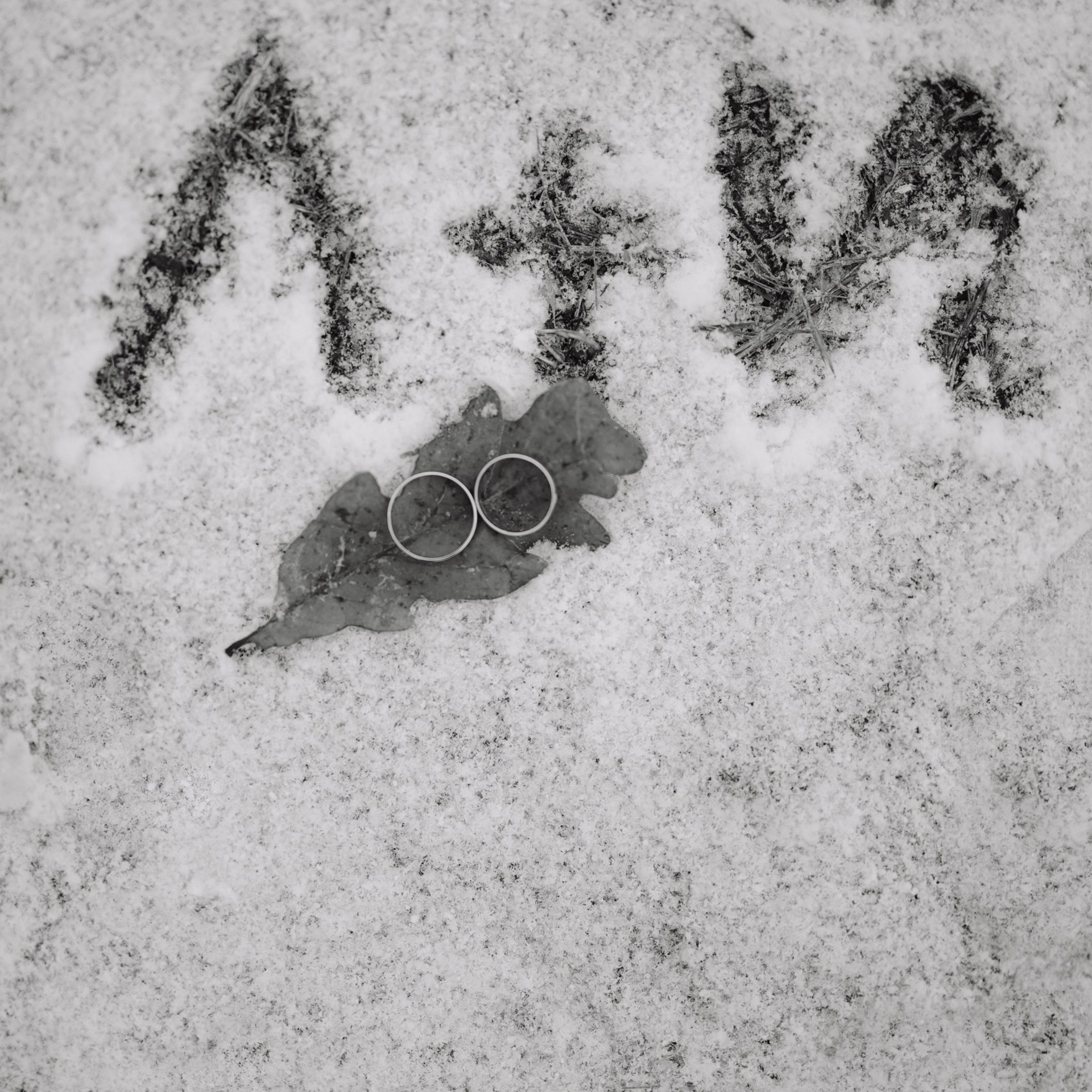 Отзывы. Фотограф Кольчугино/Владимир/Москва Елизавета Иода