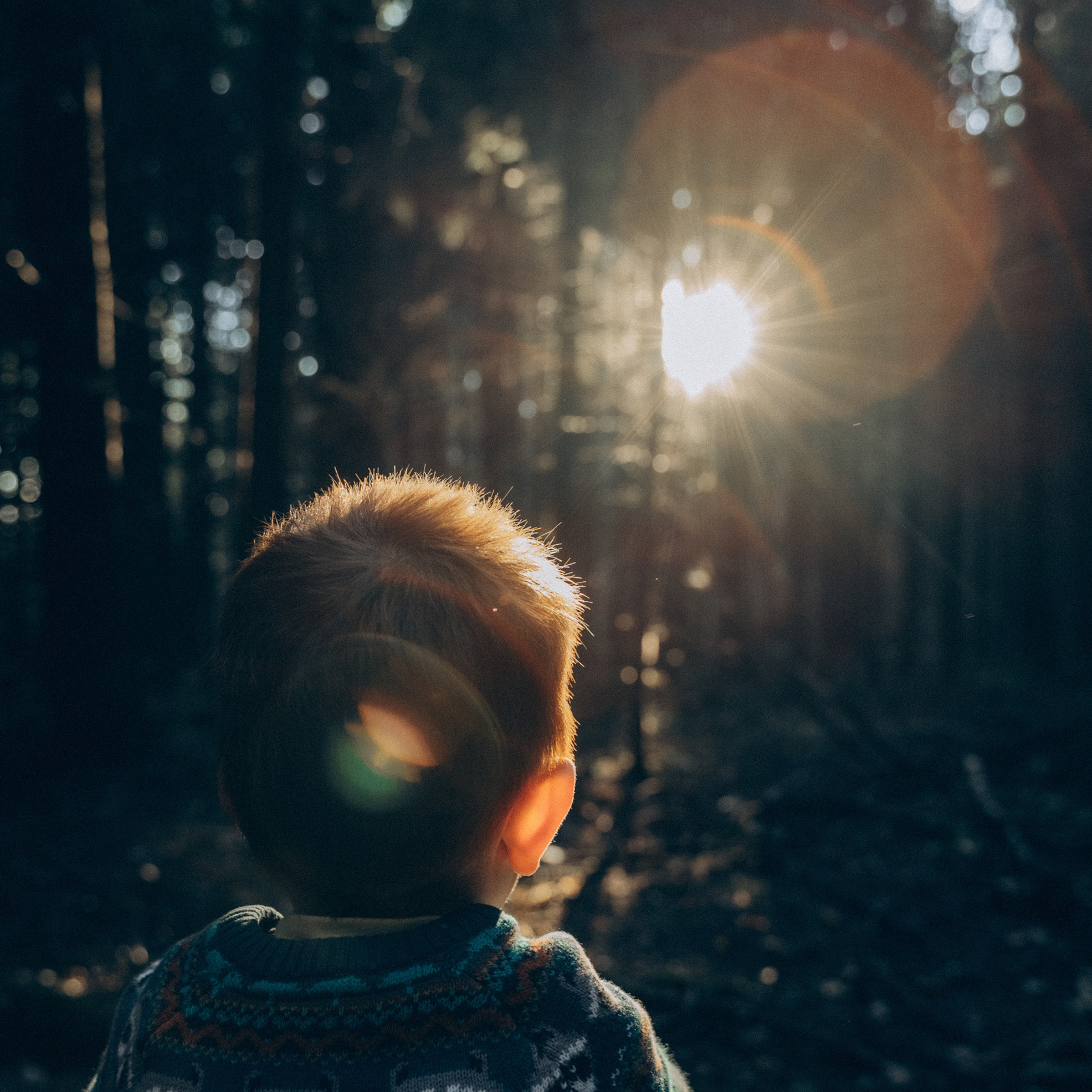 Отзывы. Семейный фотограф в Москве Полина Курданина