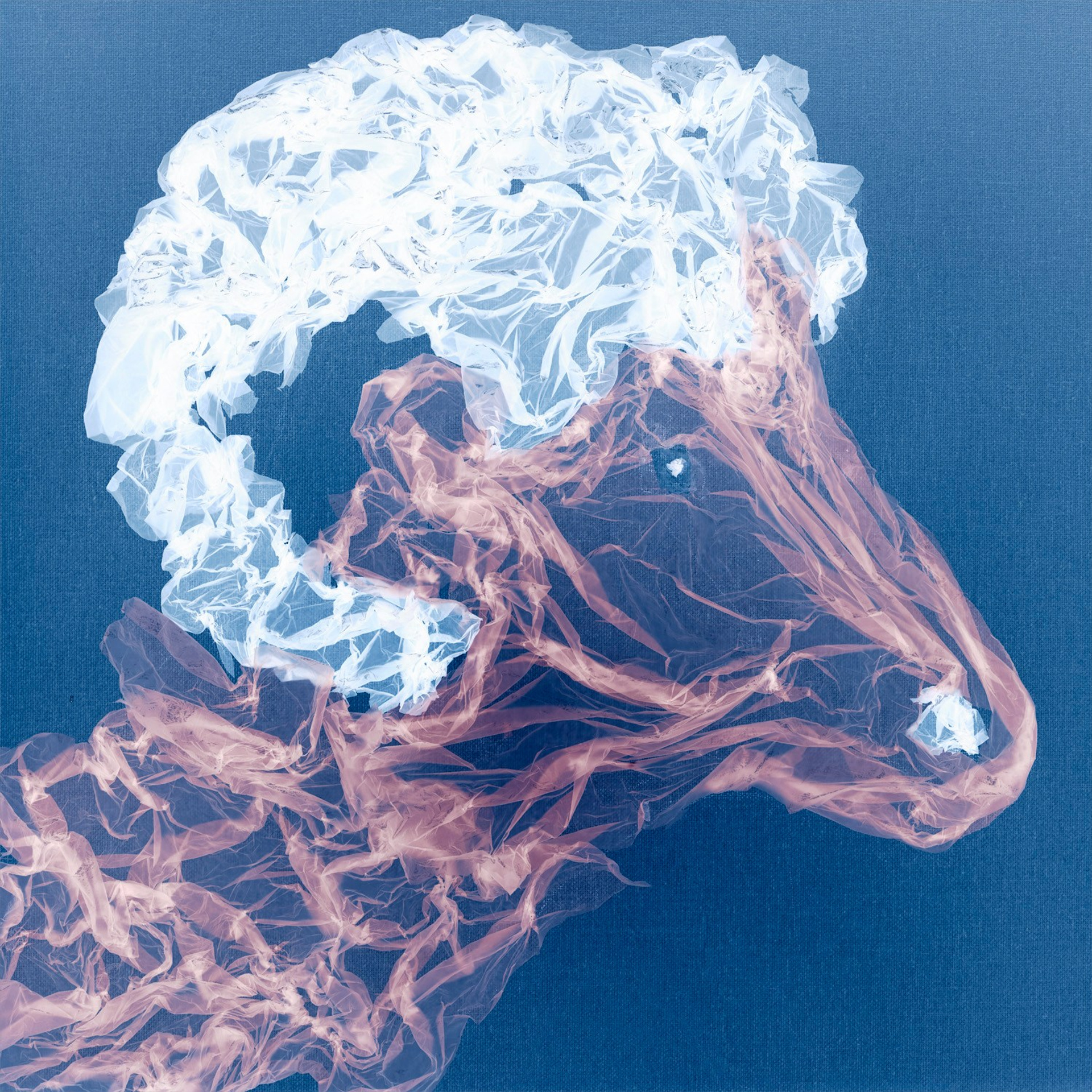 FACTORY OF SOULS. Ekaterina Bovkunova Photographer and Creator