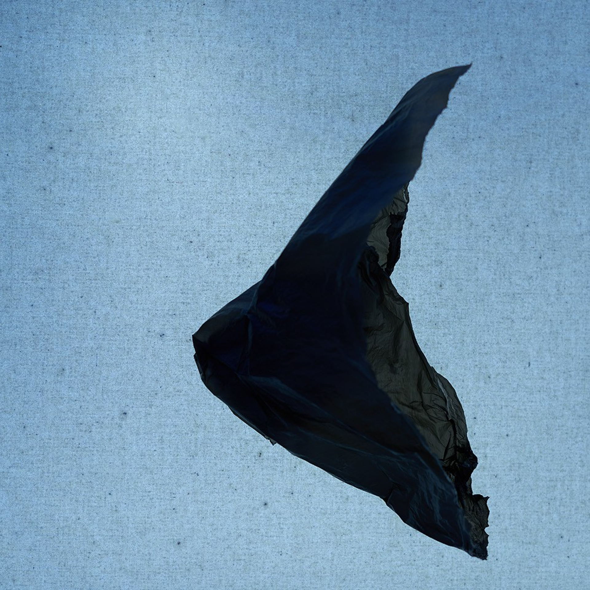 POLYETHYLENE SOULS. Ekaterina Bovkunova Photographer and Creator