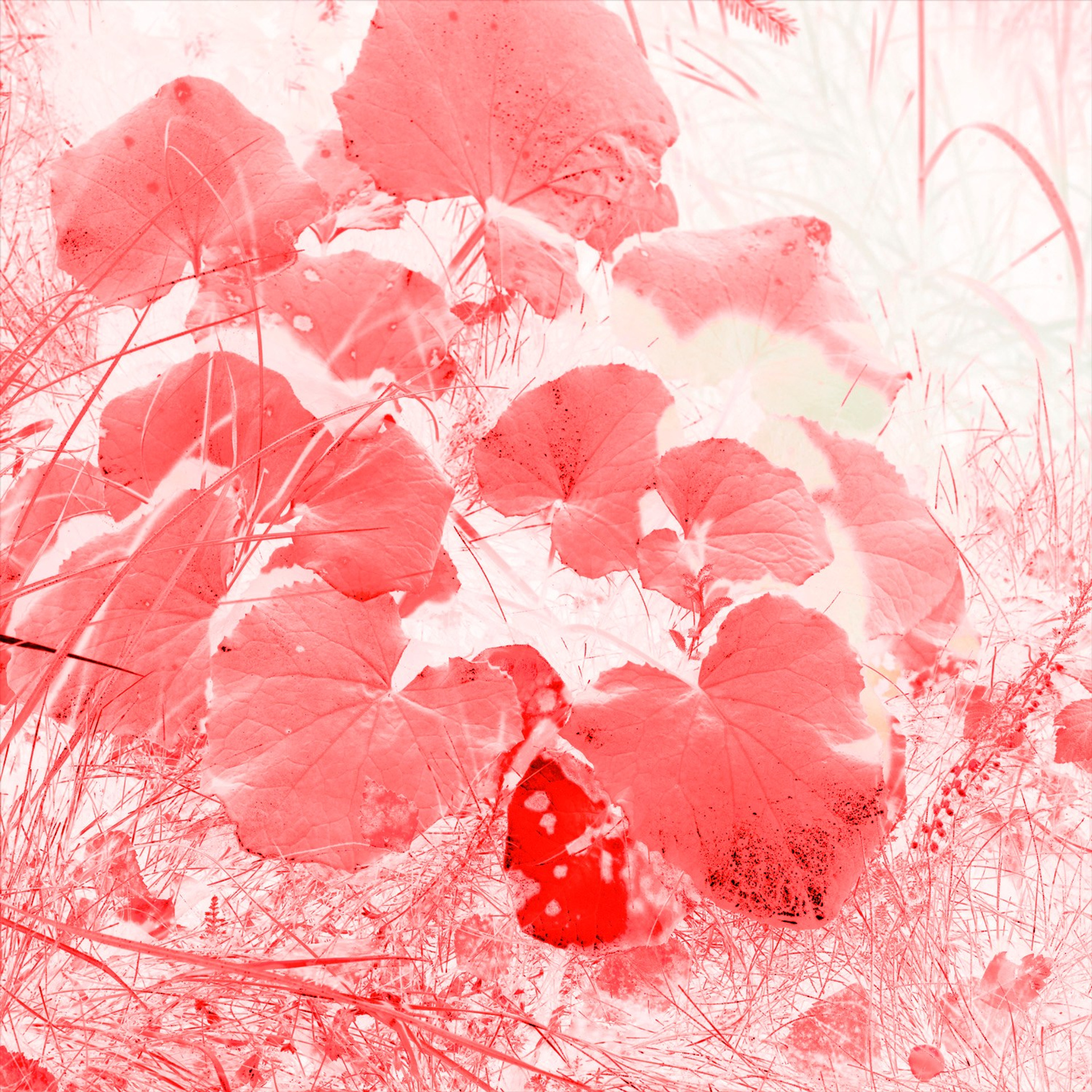 FACTORY OF SOULS. Ekaterina Bovkunova Photographer and Creator