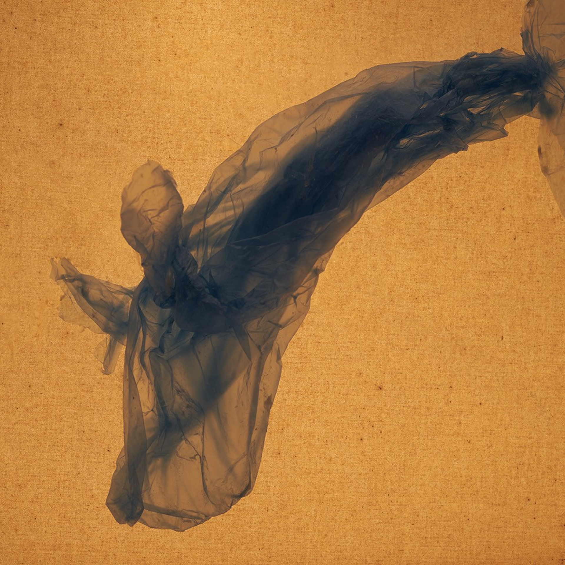 POLYETHYLENE SOULS. Ekaterina Bovkunova Photographer and Creator