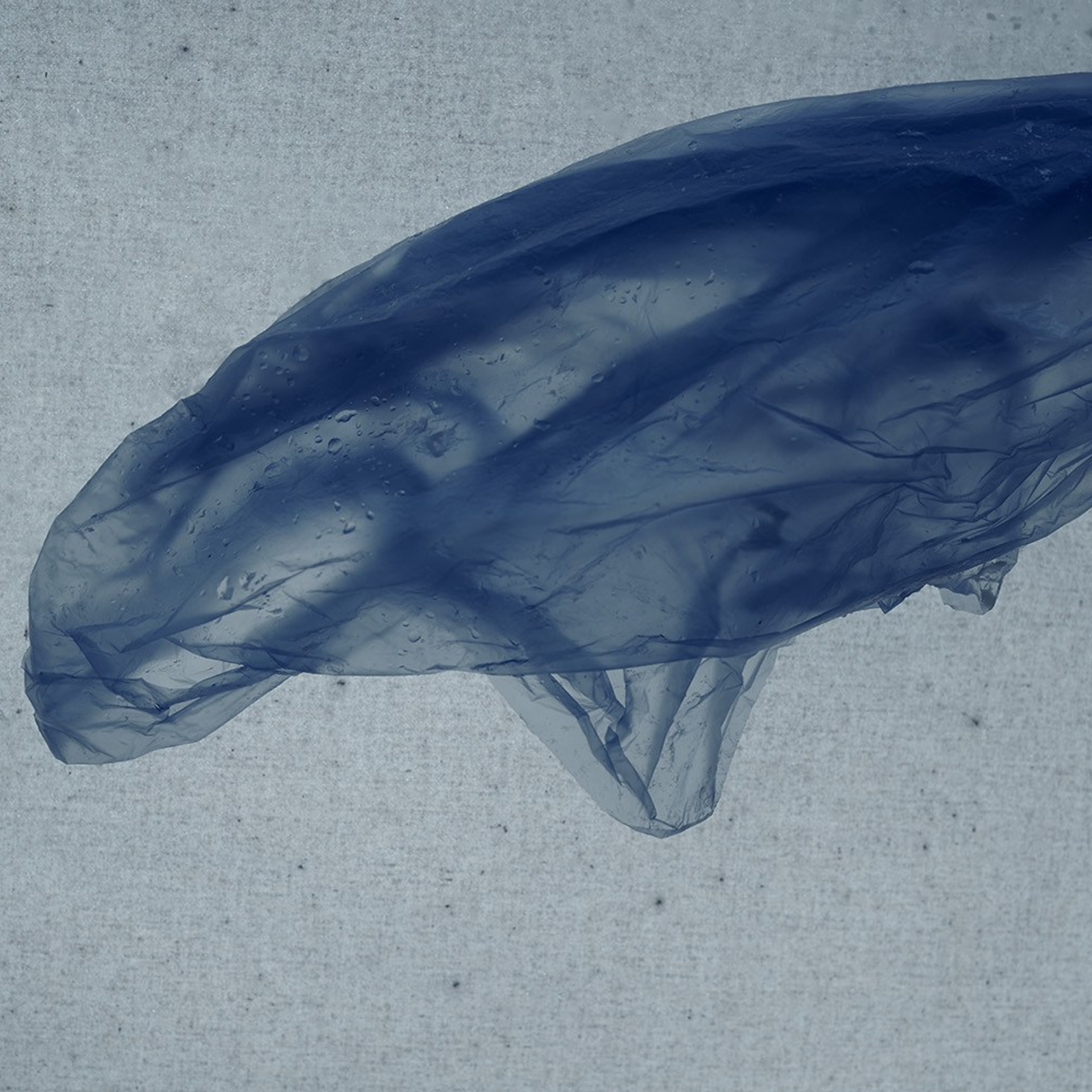 POLYETHYLENE SOULS. Ekaterina Bovkunova Photographer and Creator