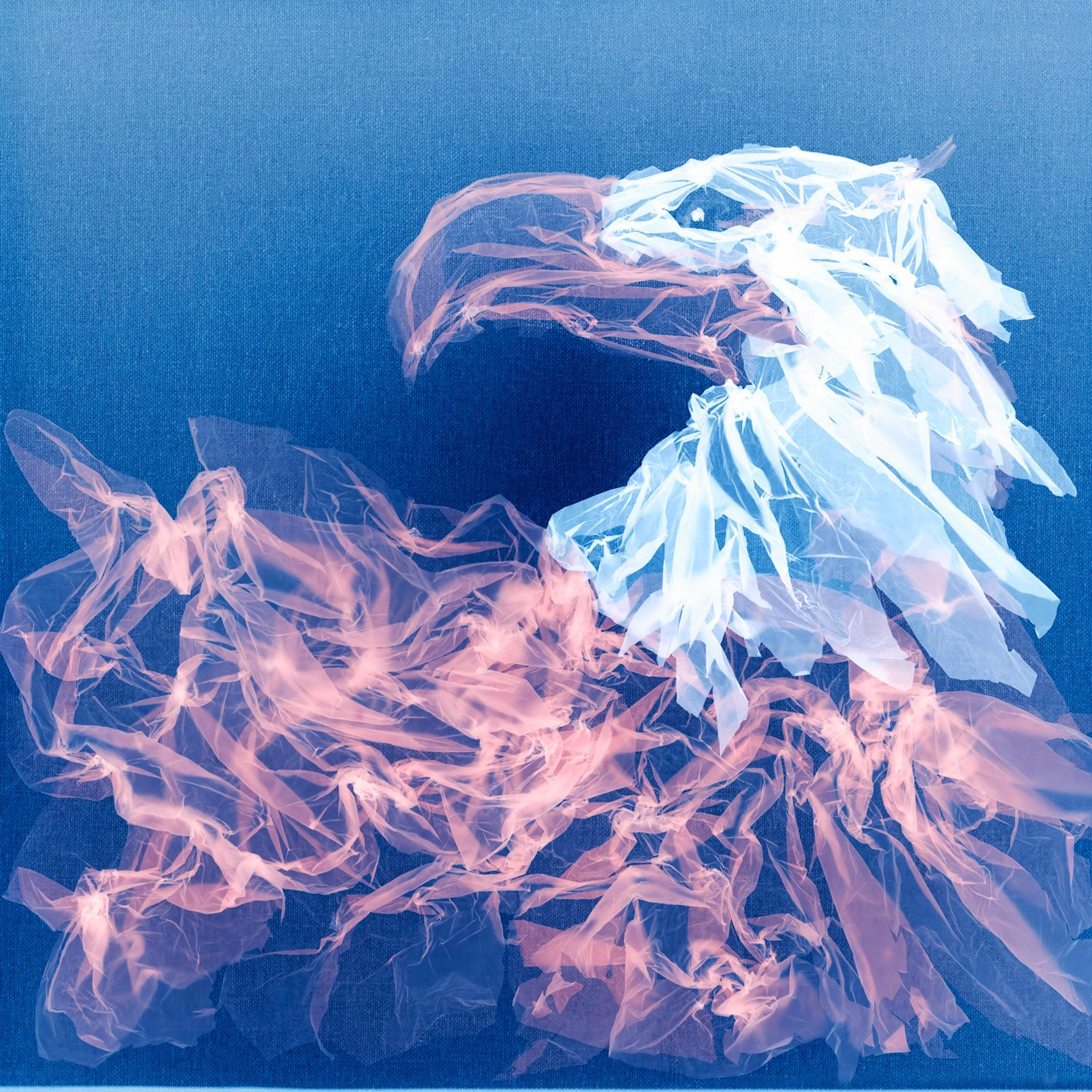 FACTORY OF SOULS. Ekaterina Bovkunova Photographer and Creator