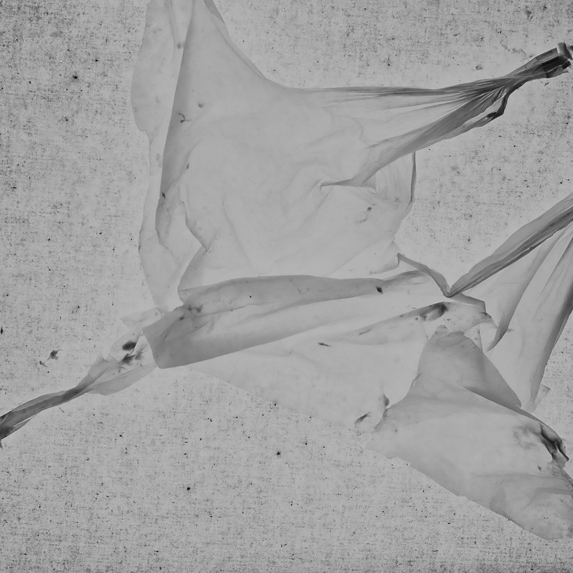 POLYETHYLENE SOULS. Ekaterina Bovkunova Photographer and Creator