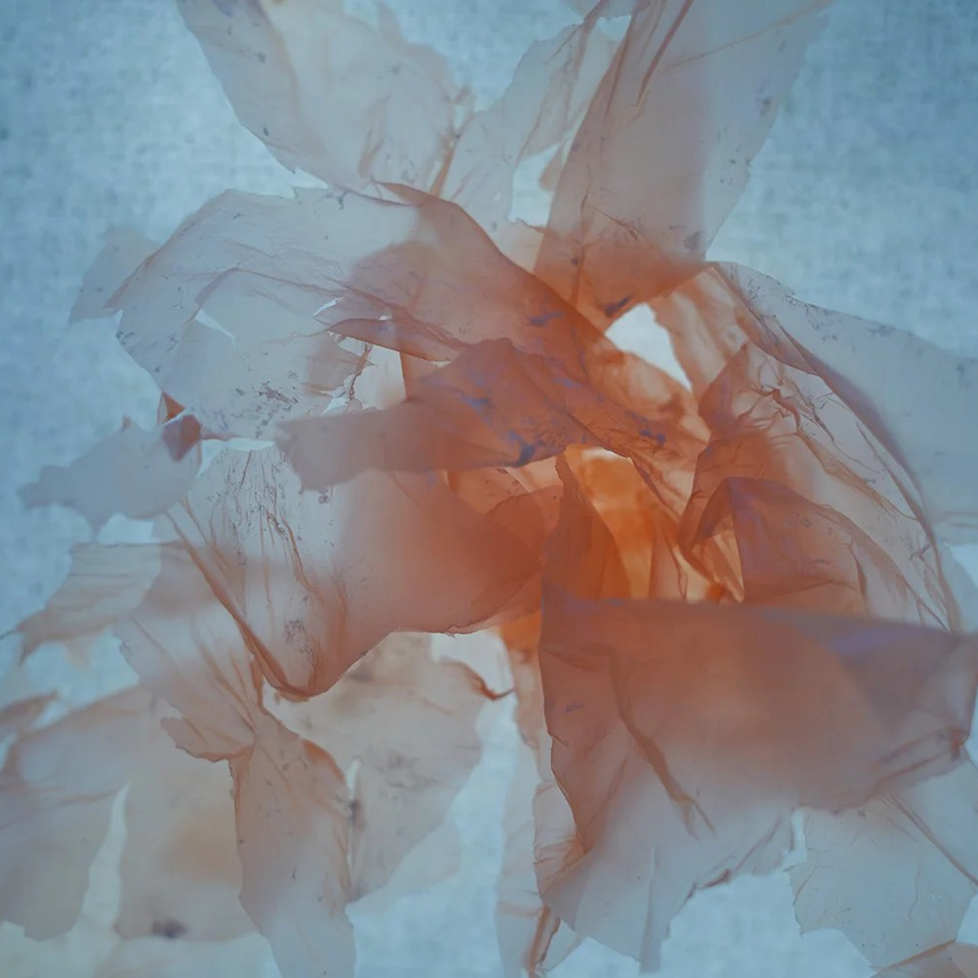 POLYETHYLENE SOULS. Ekaterina Bovkunova Photographer and Creator