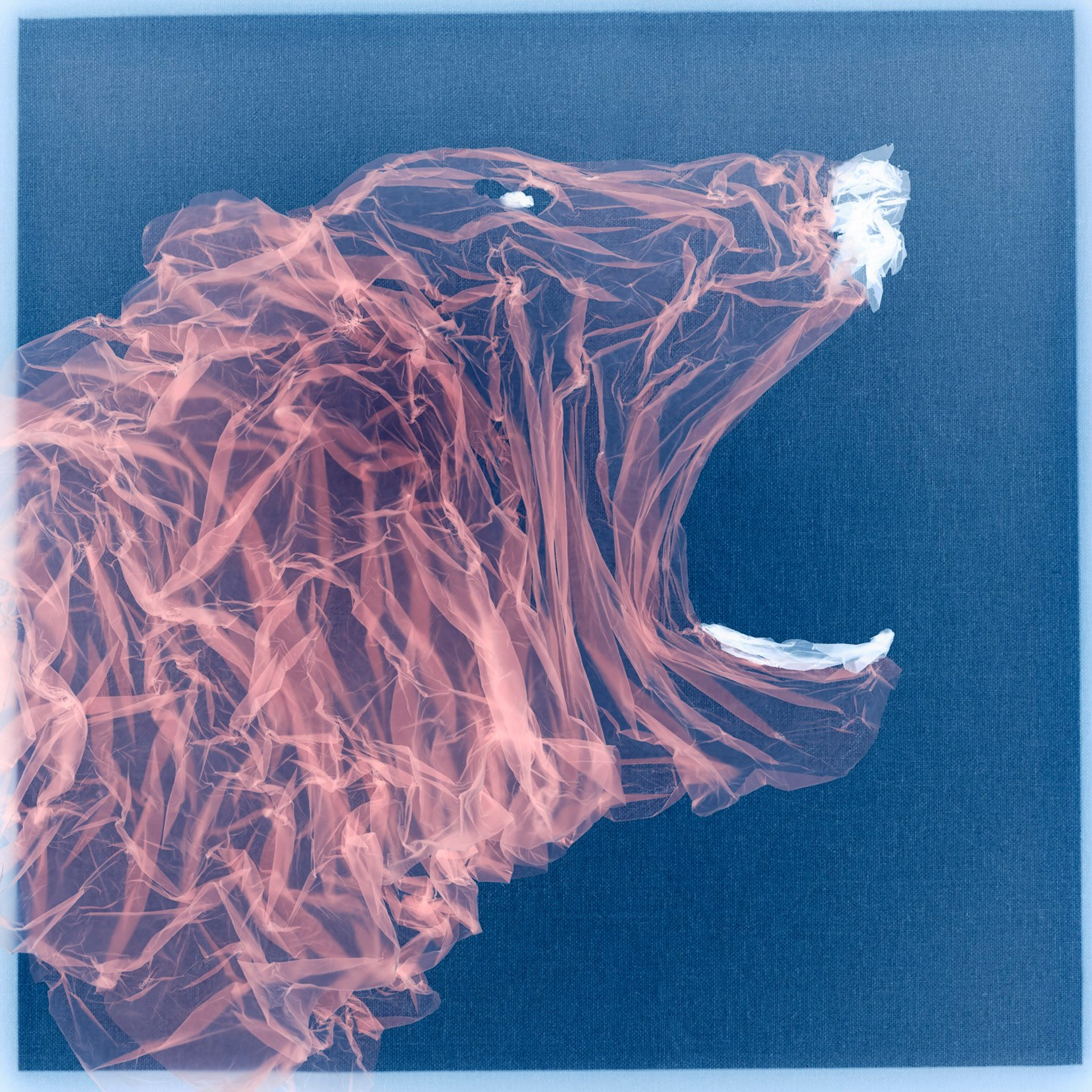 FACTORY OF SOULS. Ekaterina Bovkunova Photographer and Creator