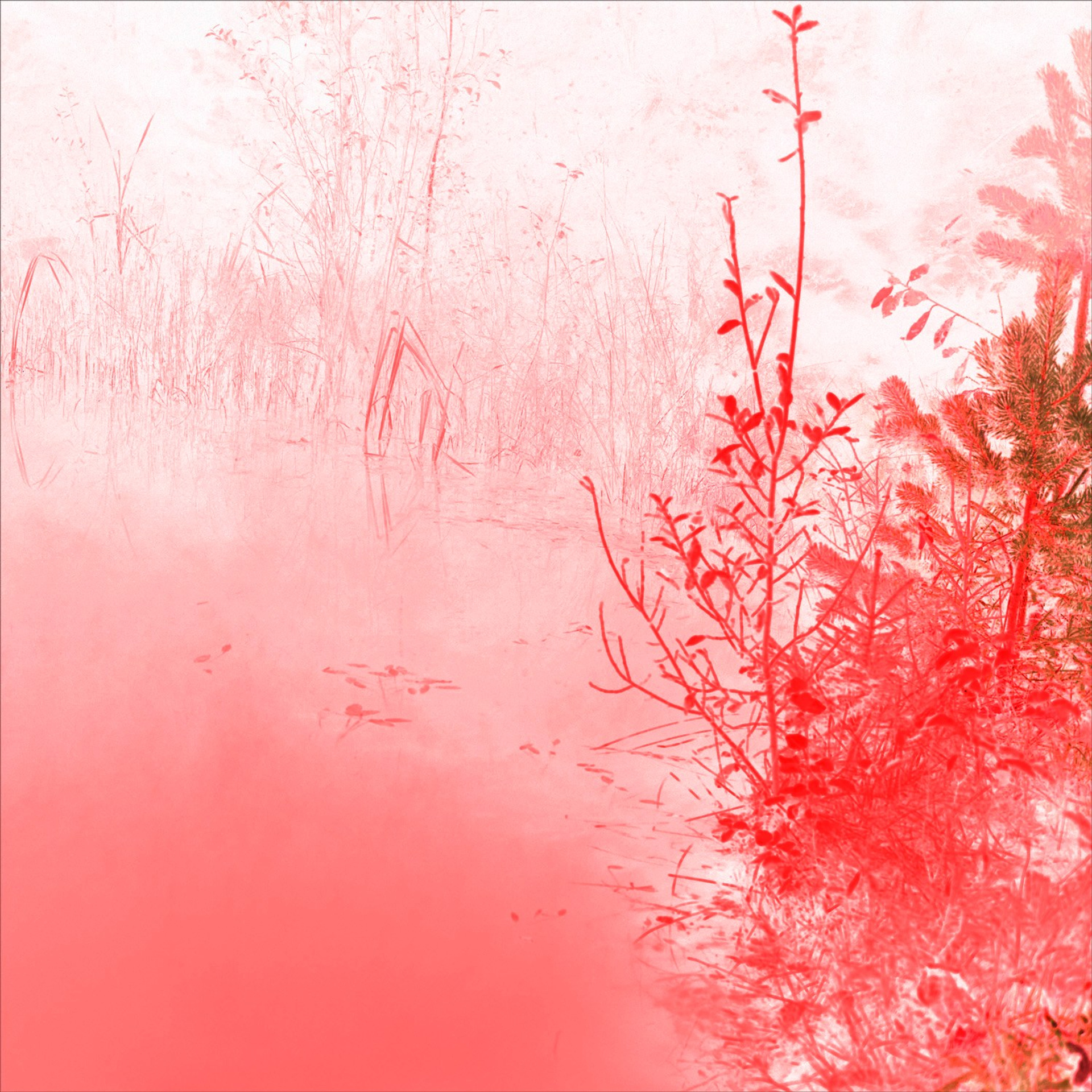 FACTORY OF SOULS. Ekaterina Bovkunova Photographer and Creator