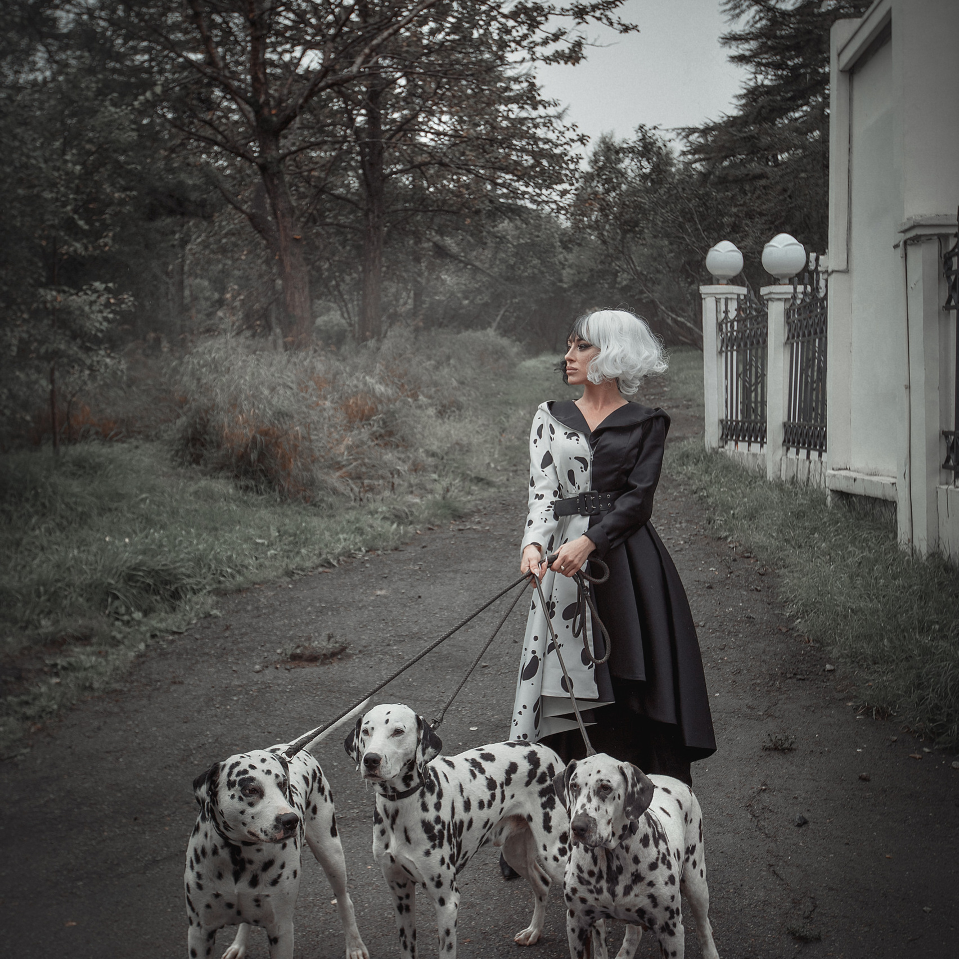 Отзывы. Фотограф Алёна Яковлева