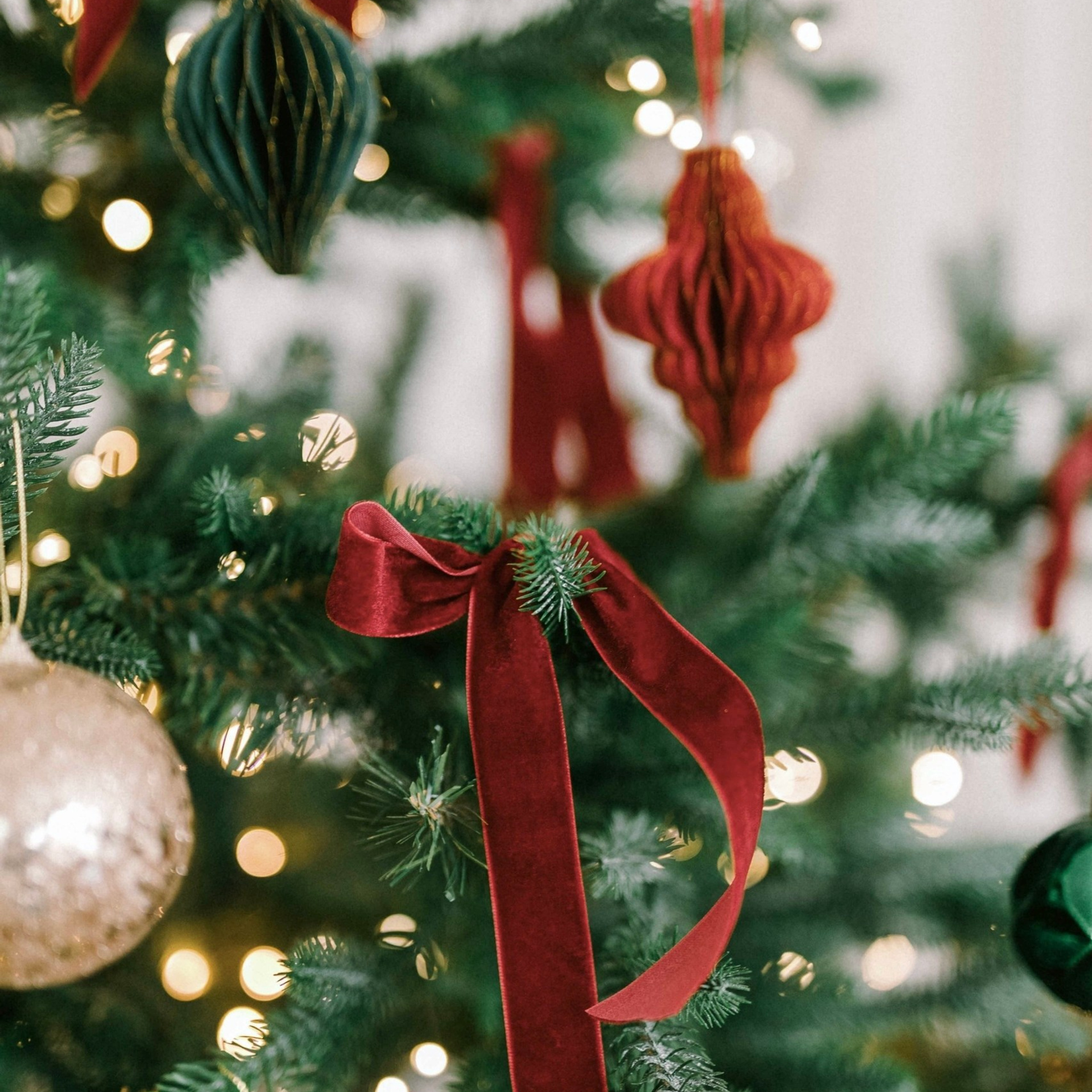 Отзывы. Галина Скибина фотограф в Астрахани