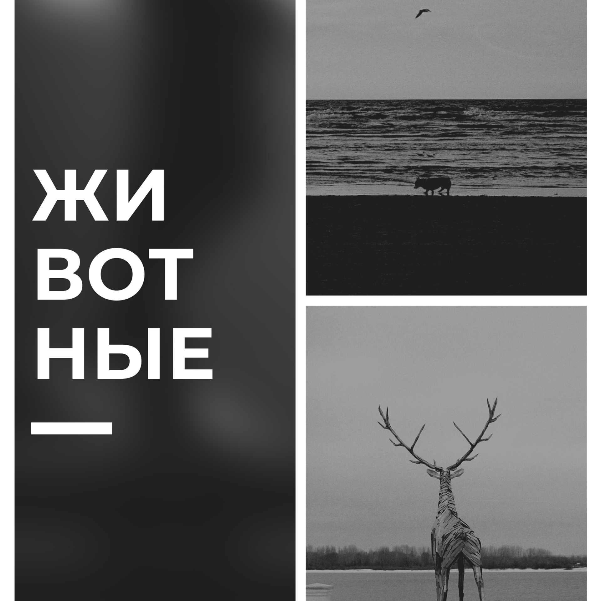 «Не зря тащил фотик в такую даль». Фотовыставки serebro.gallery, в которых автором можешь стать ты! | Москва