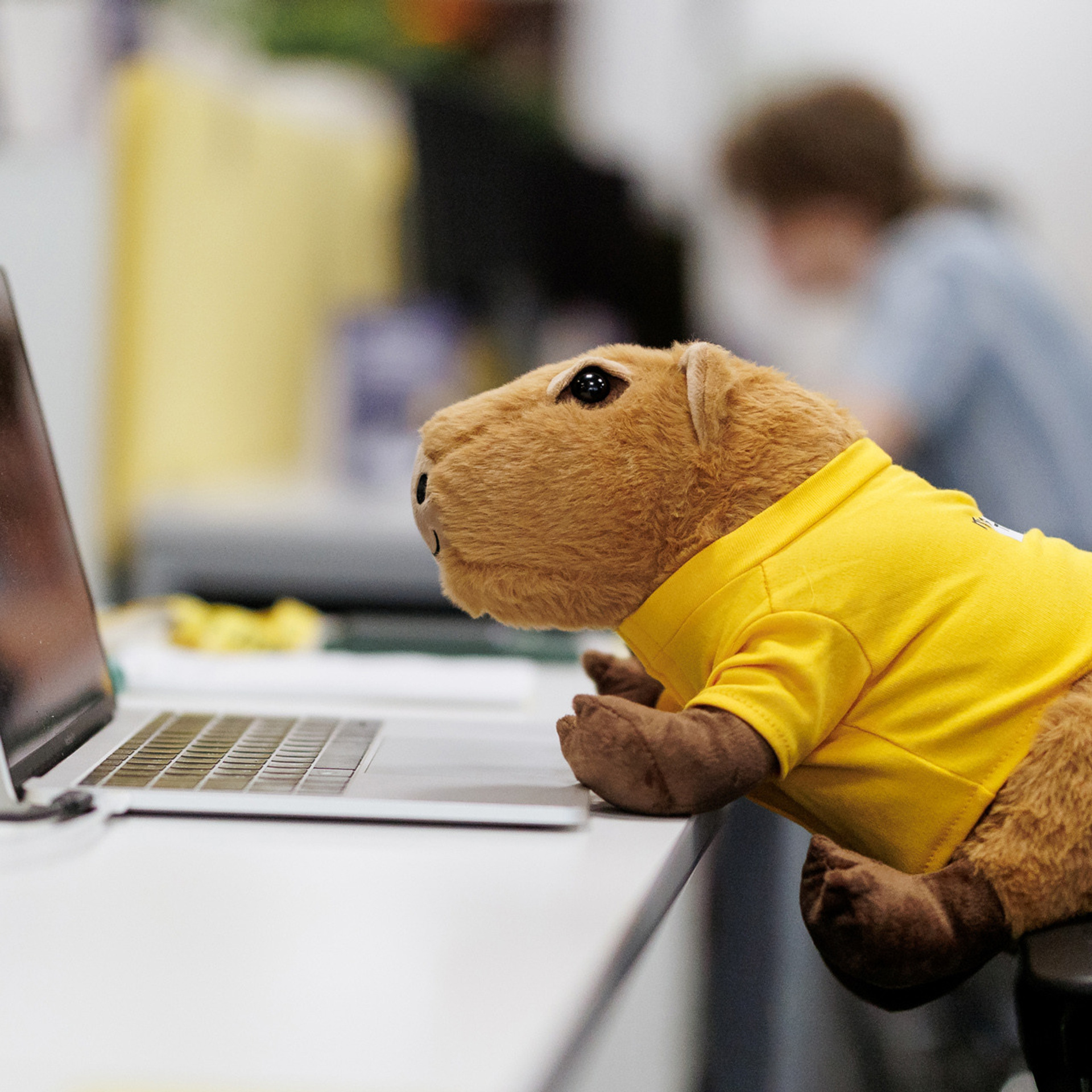 Отзывы. Репортажный фотограф в Санкт-Петербурге