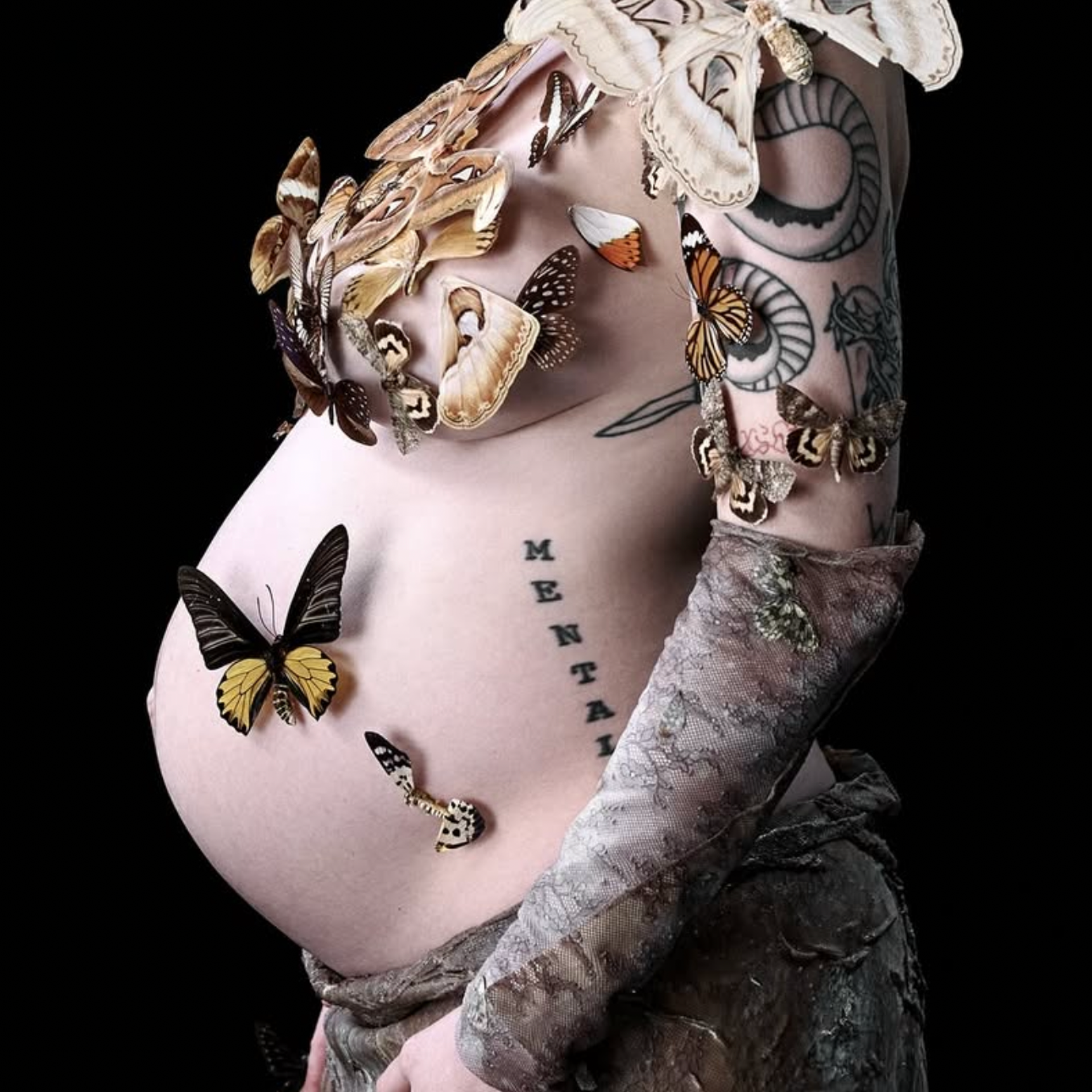 100 BYN Бабочки настоящие сушеные