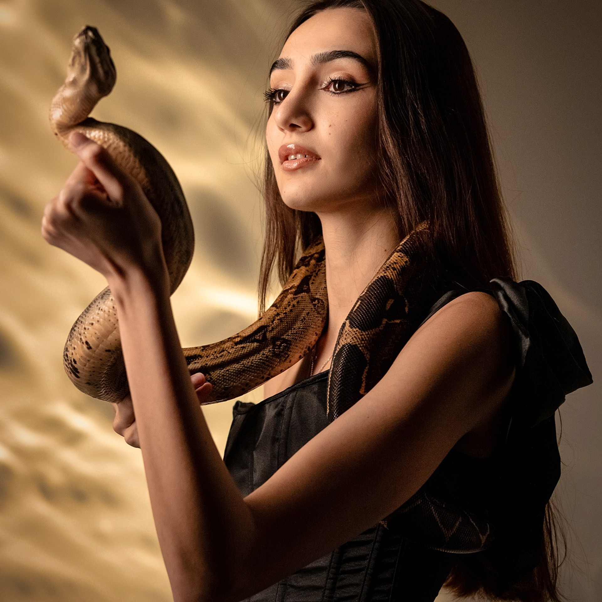 Проект со&nbsp;змеёй