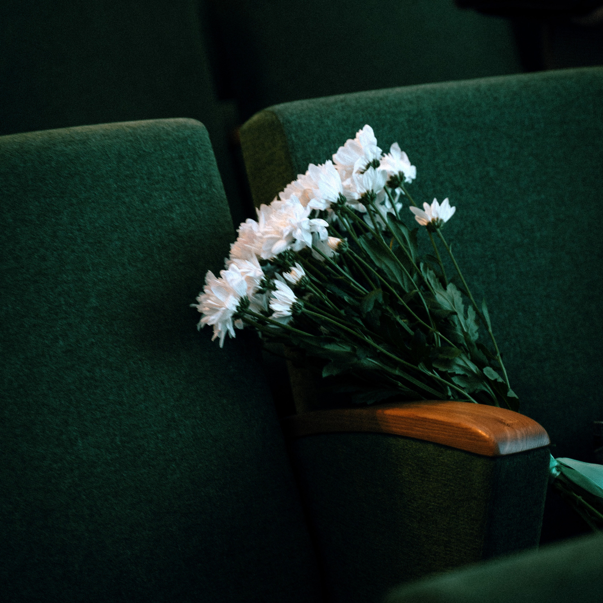 Отзывы. Саша Копылов, фотограф в Казани