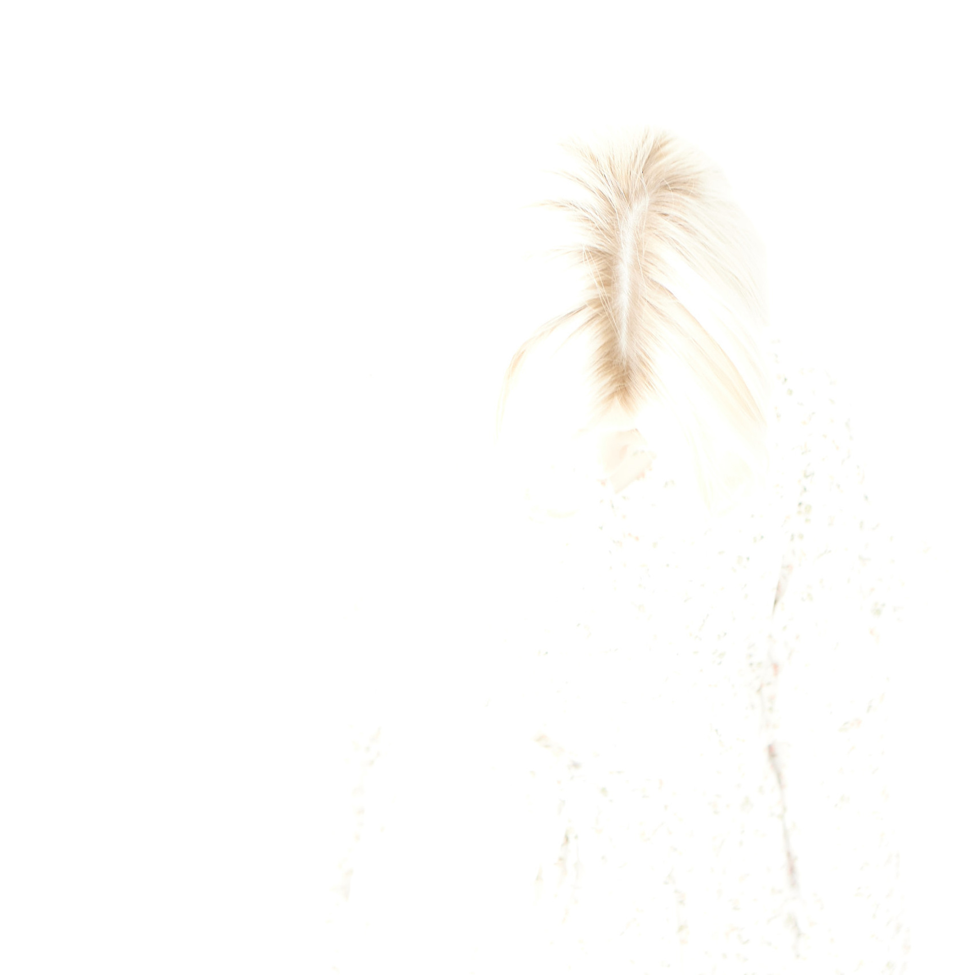 Отзывы. Фотограф Желтухин Андрей в Петрозаводске, СПб и Москве