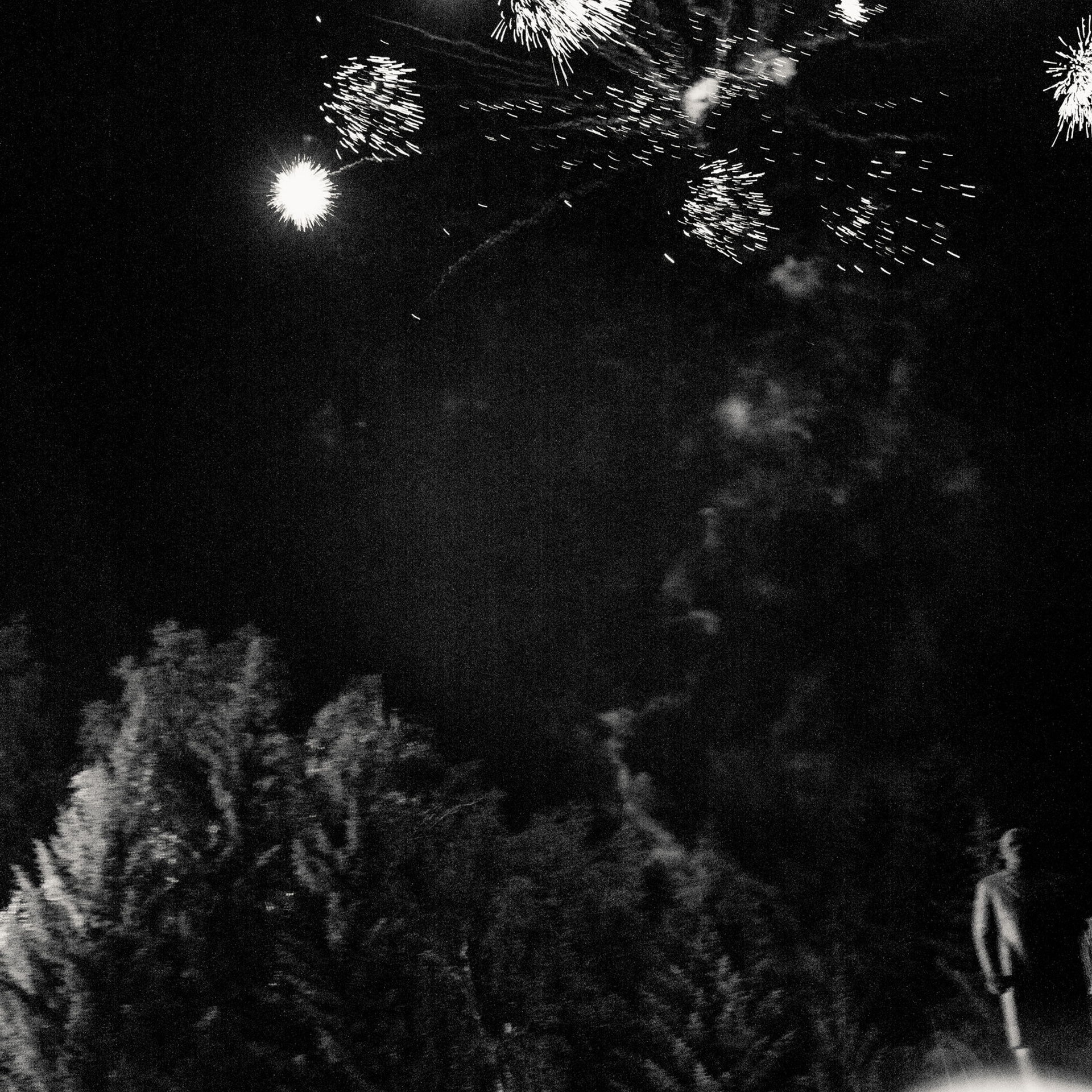 Отзывы. Фотограф Ирина Чистякова