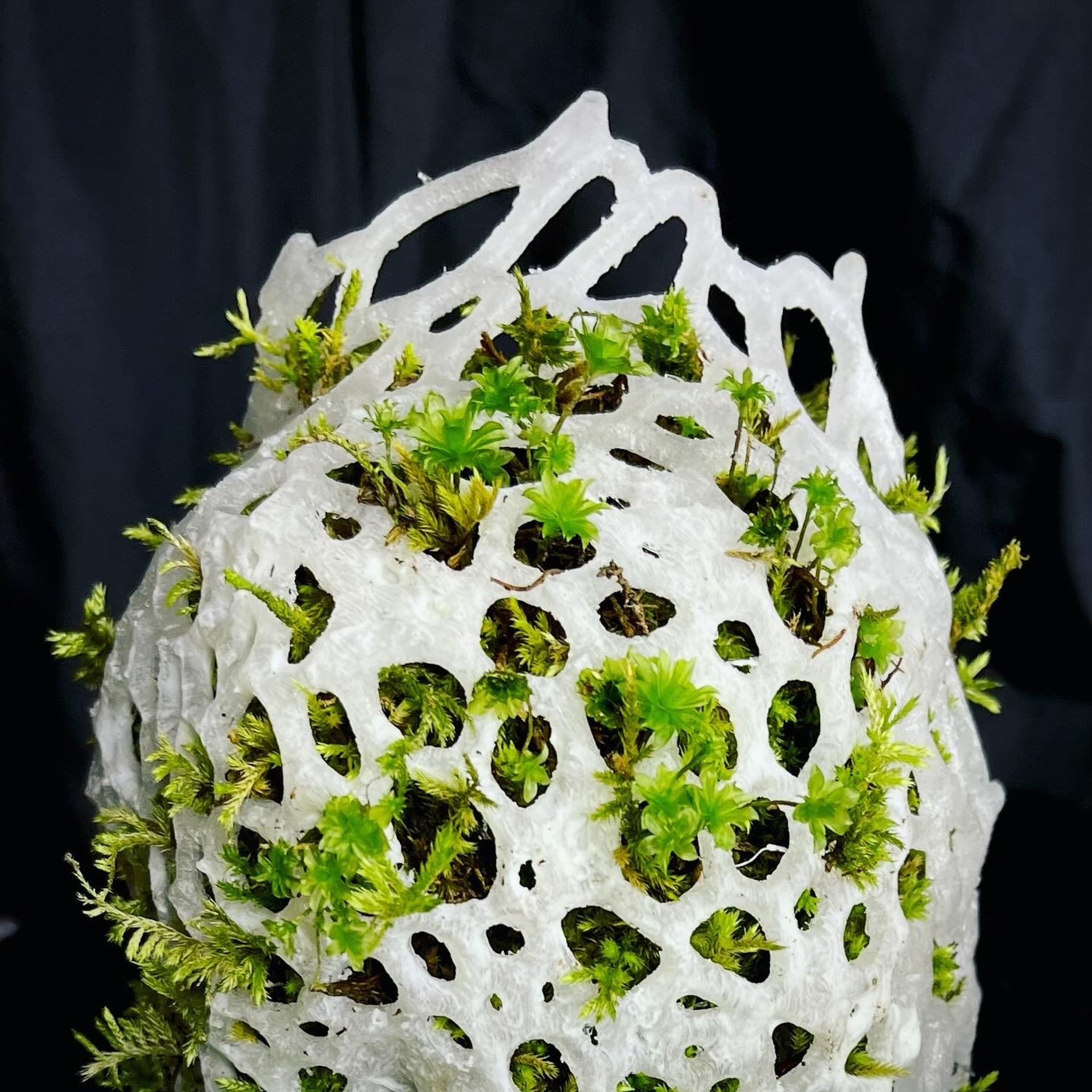 Апперцепция #97. Саша Малышева ● Художник