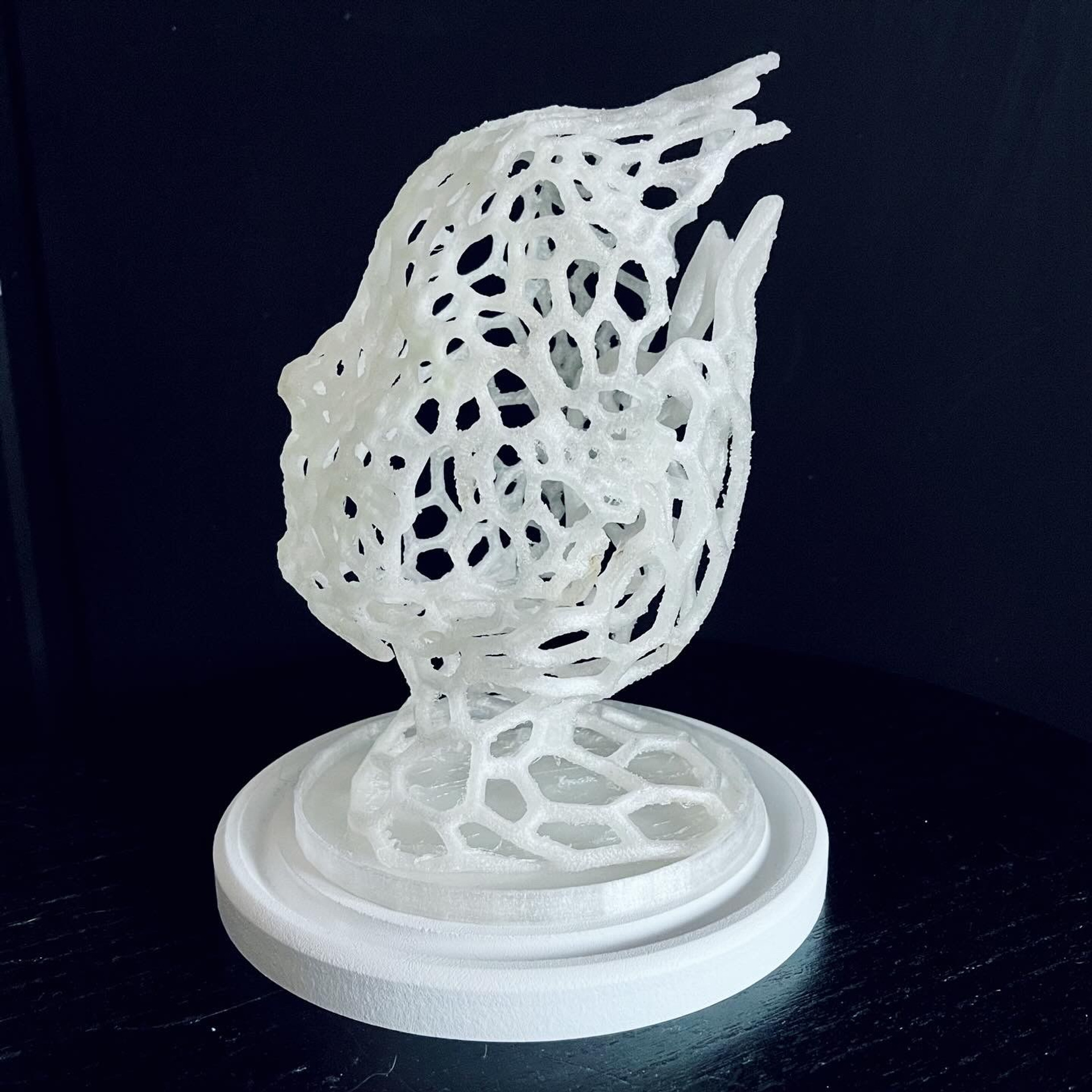 Апперцепция #97. Саша Малышева ● Художник