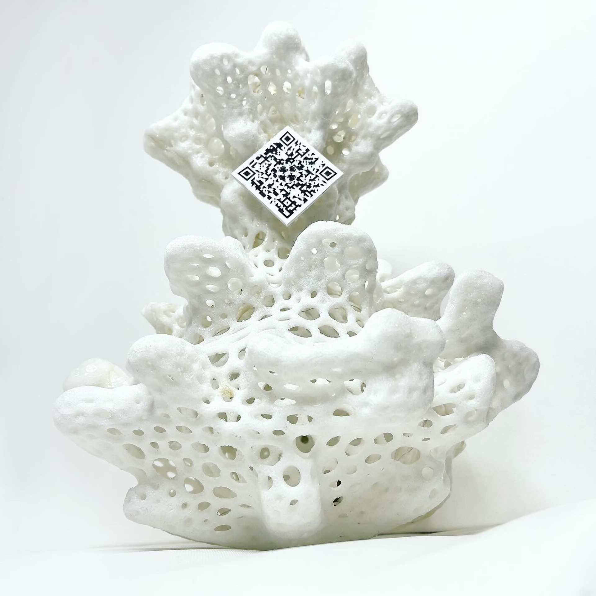 О балансе, равновесии и символическом обмене #92. Саша Малышева ● Художник