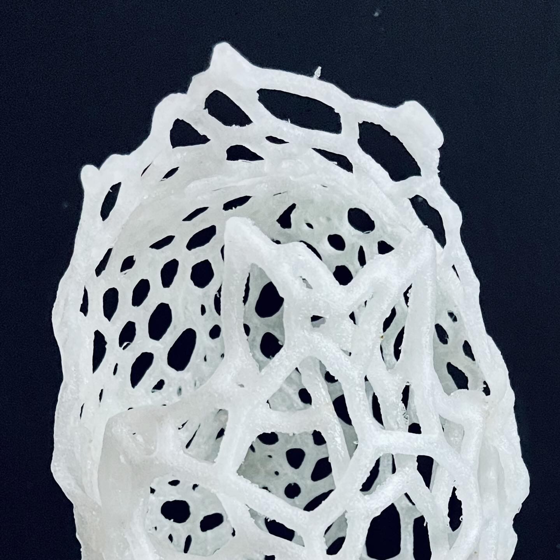 Апперцепция #97. Саша Малышева ● Художник