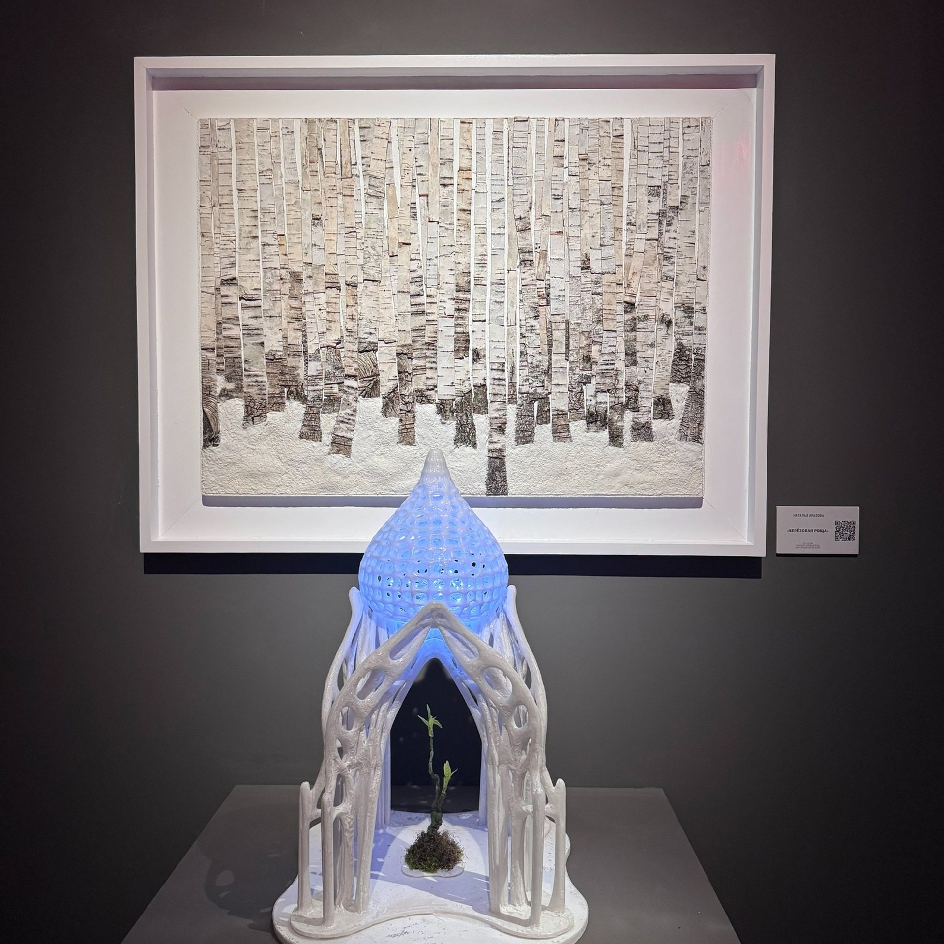 СВОЯСИ | Государственный исторический музей, 2025. Саша Малышева ● Художник