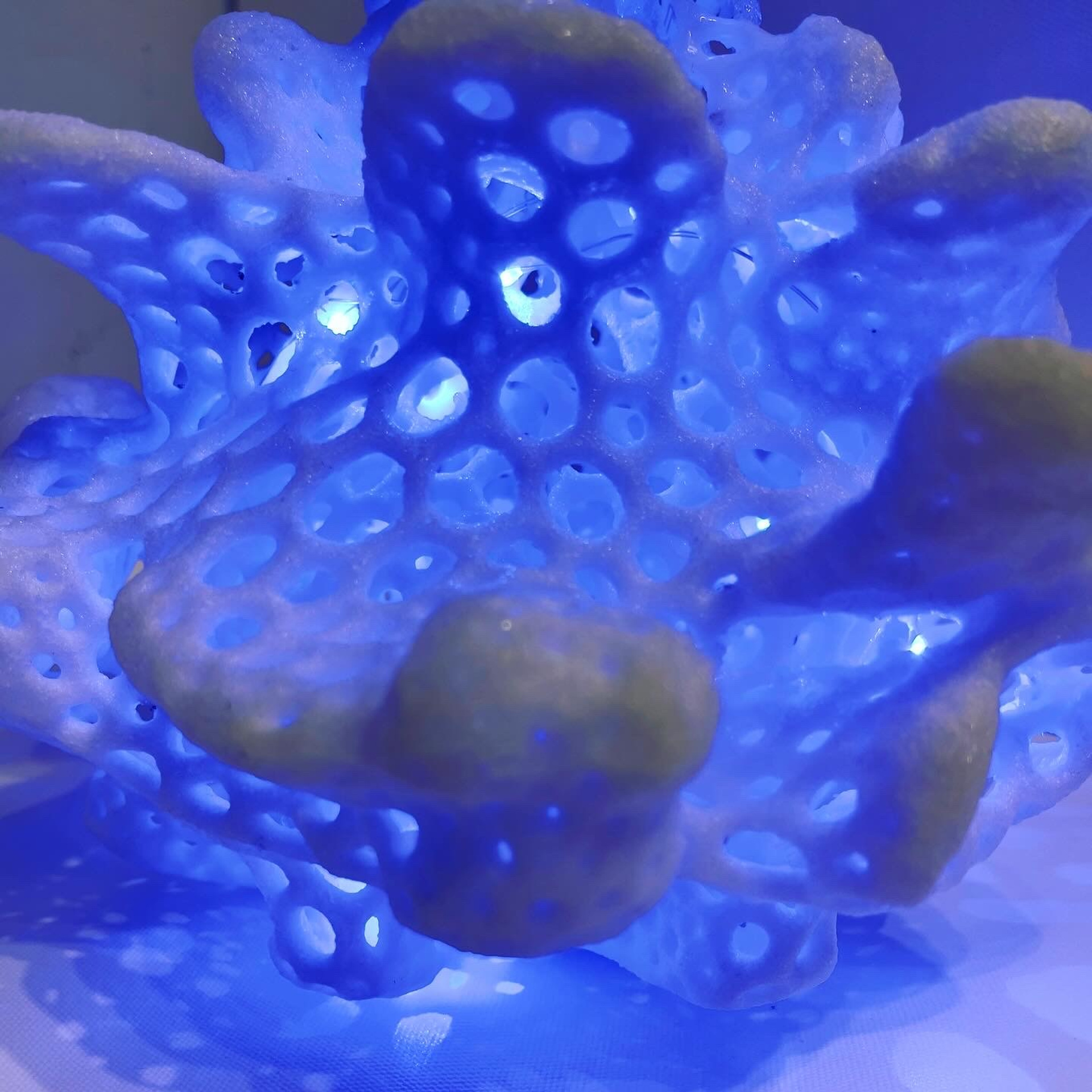 О балансе, равновесии и символическом обмене #92. Саша Малышева ● Художник