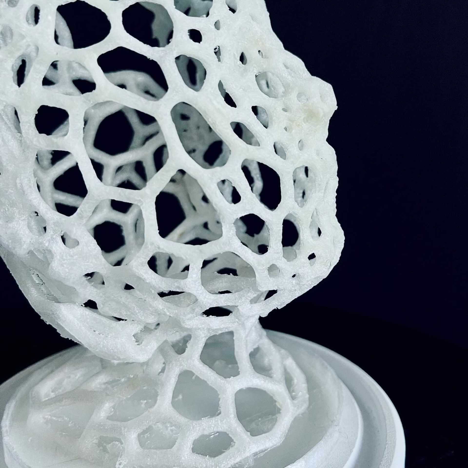 Апперцепция #97. Саша Малышева ● Художник