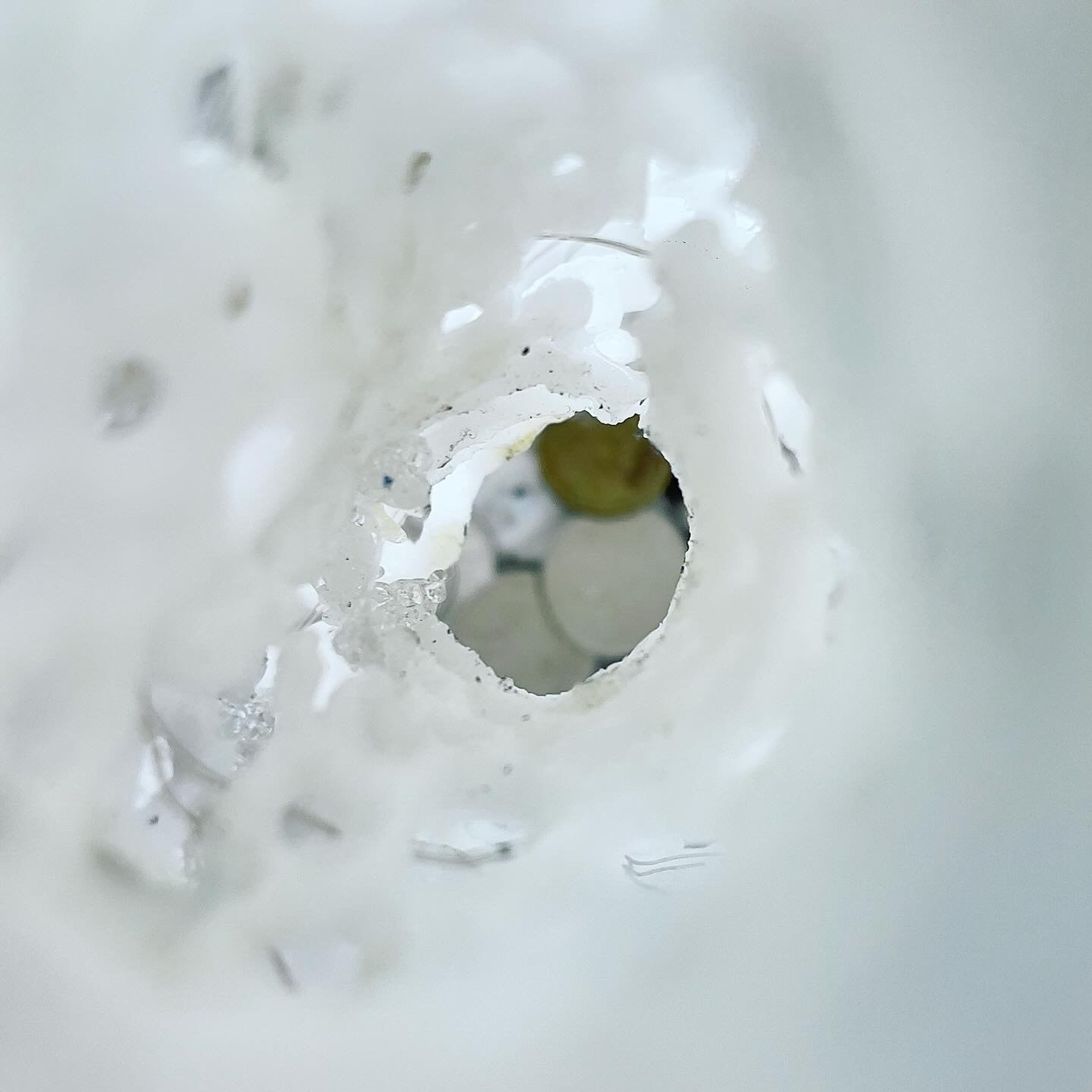 О балансе, равновесии и символическом обмене #92. Саша Малышева ● Художник