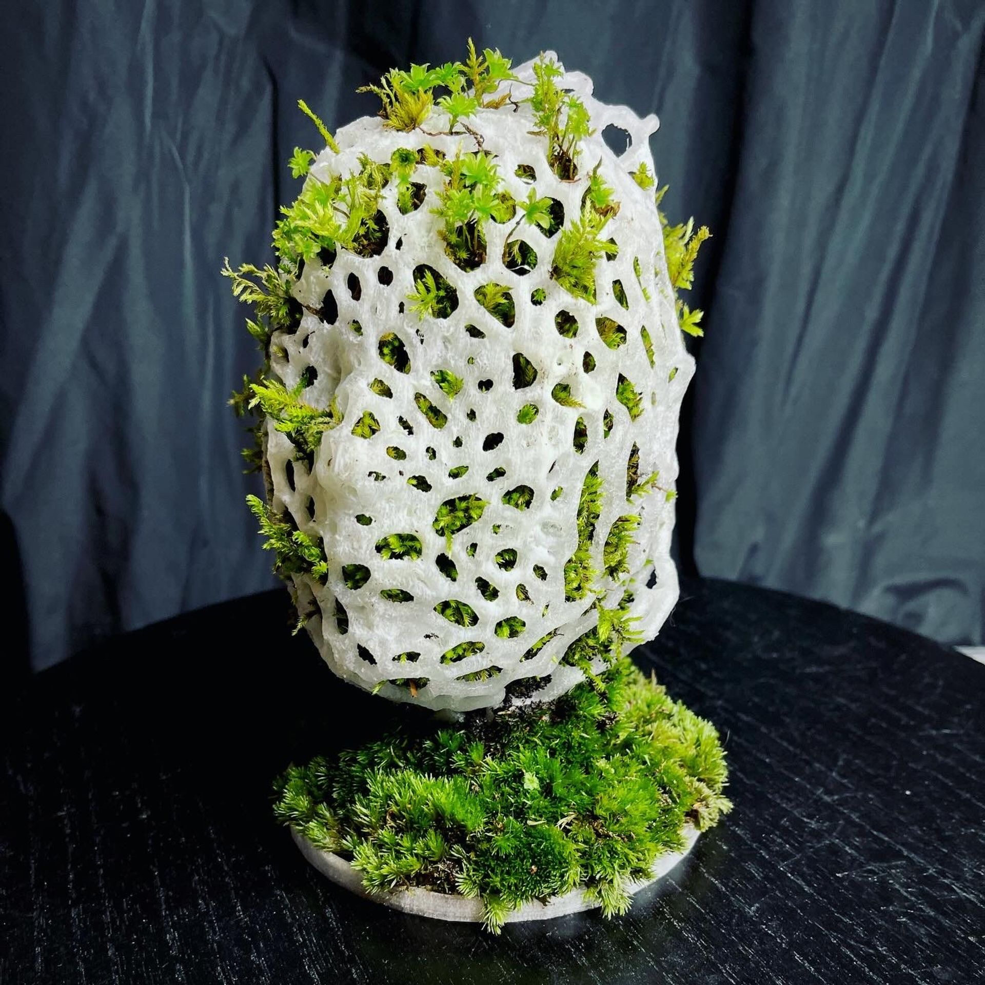 Апперцепция #97. Саша Малышева ● Художник