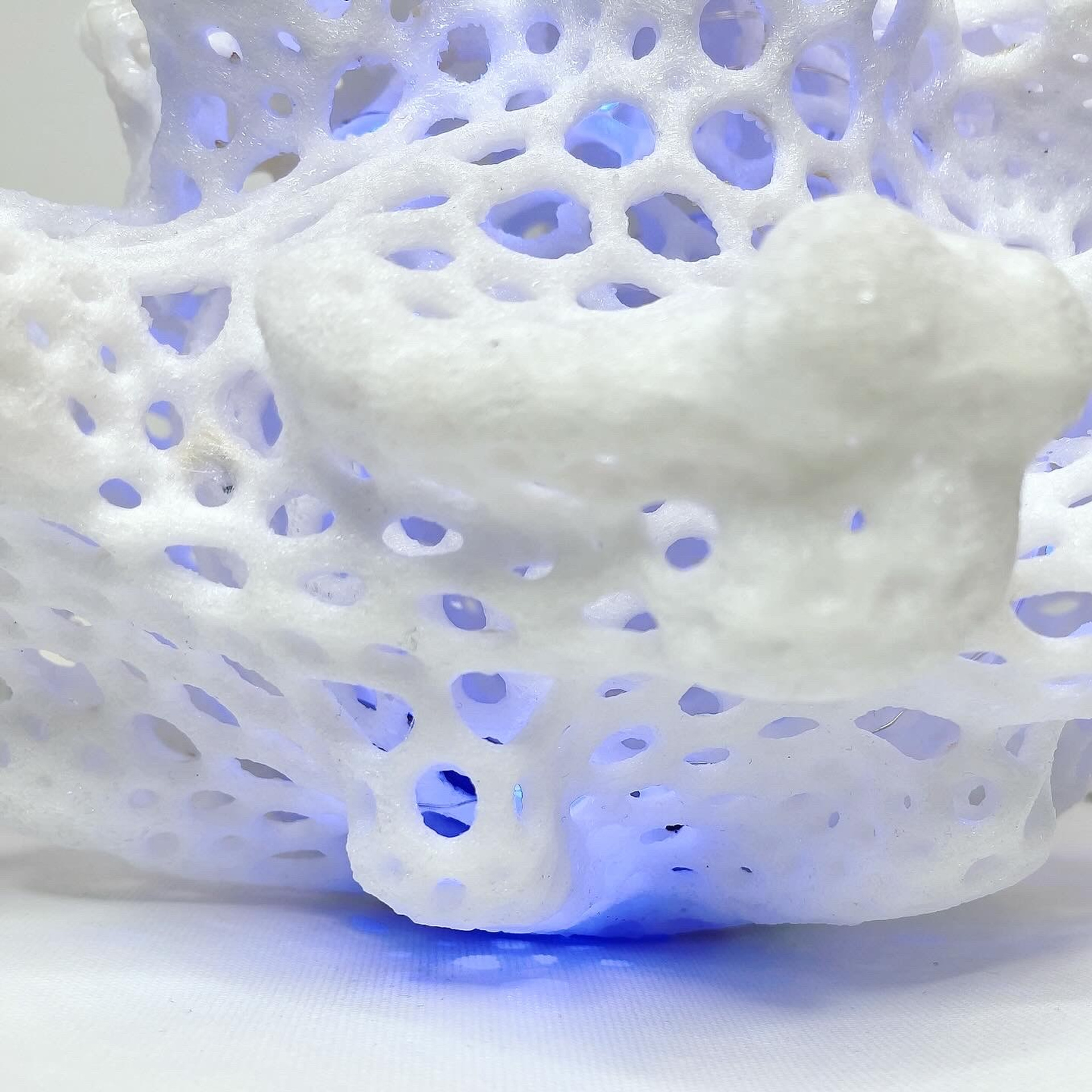 О балансе, равновесии и символическом обмене #92. Саша Малышева ● Художник