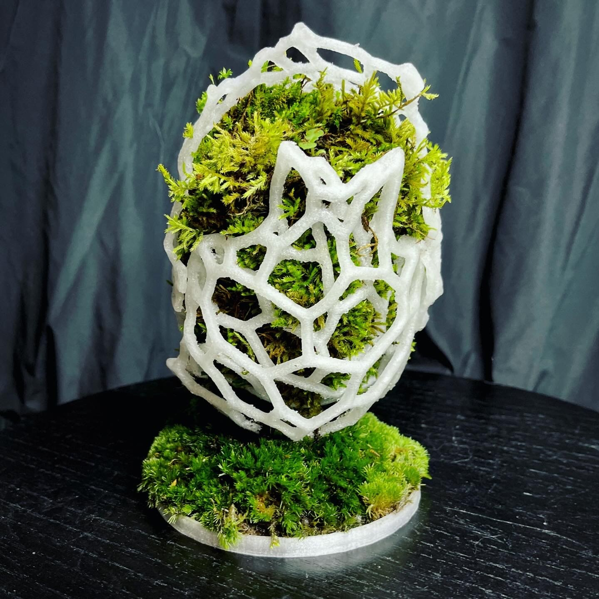 Апперцепция #97. Саша Малышева ● Художник