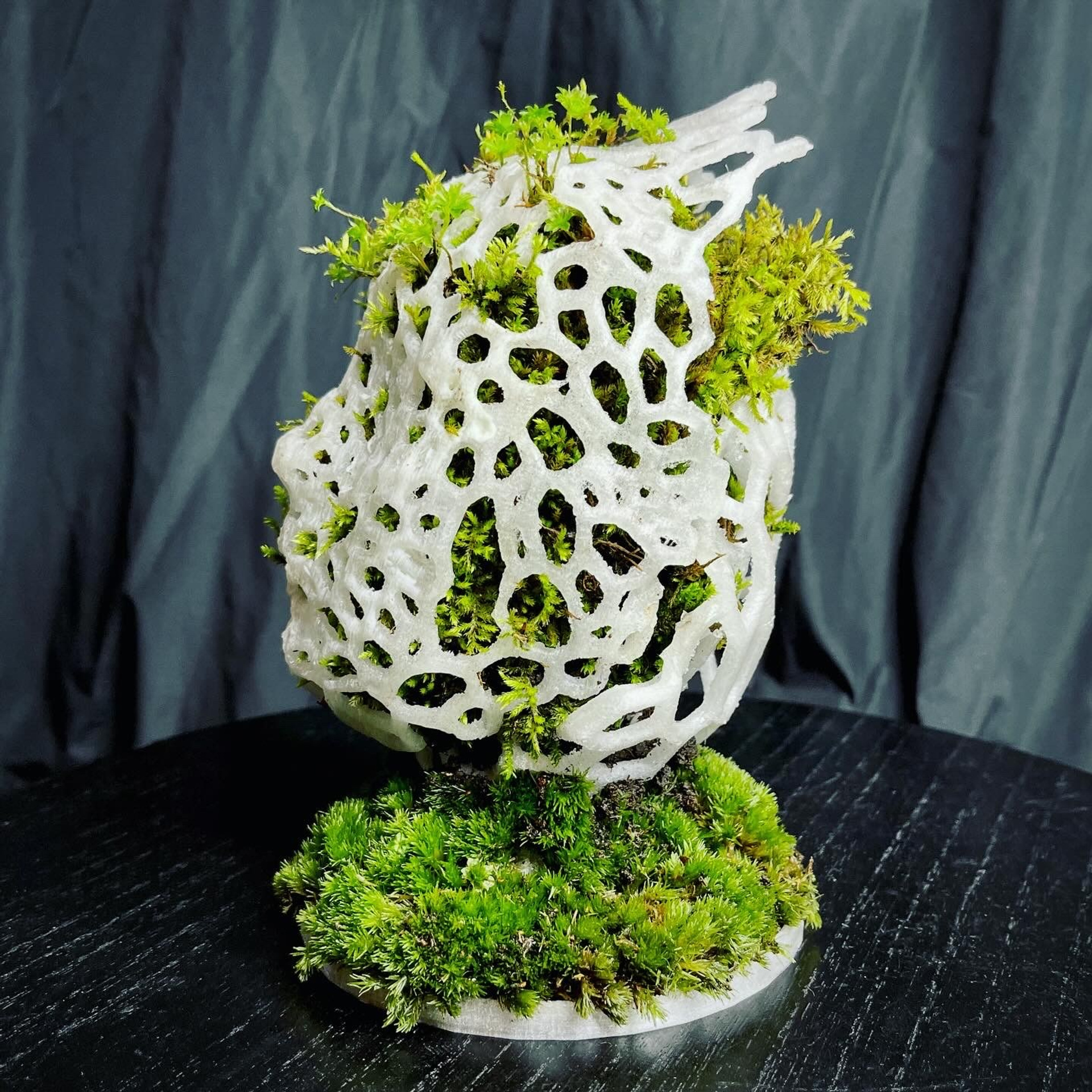 Апперцепция #97. Саша Малышева ● Художник