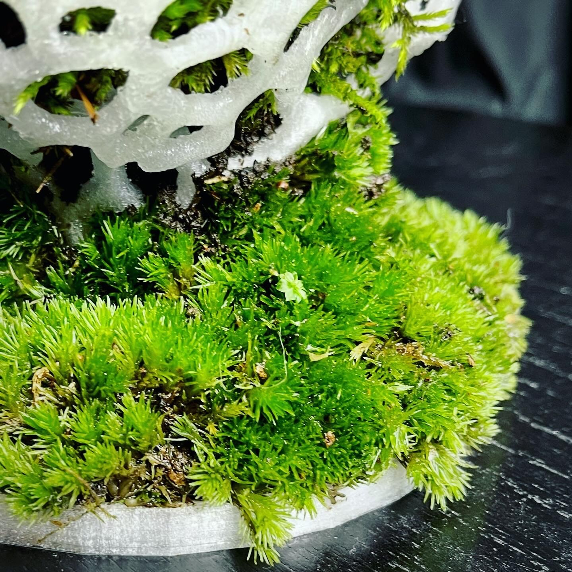 Апперцепция #97. Саша Малышева ● Художник