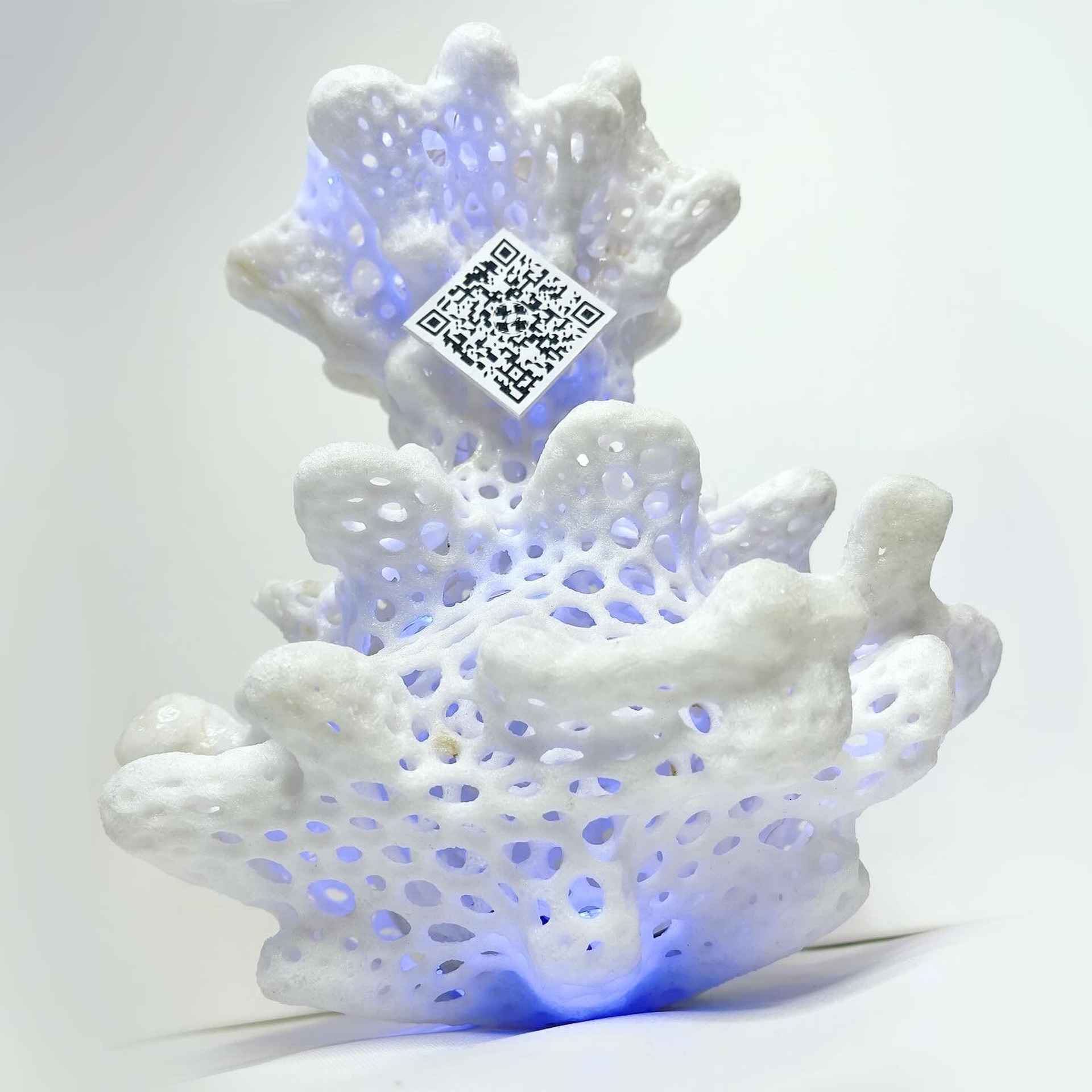 О балансе, равновесии и символическом обмене #92. Саша Малышева ● Художник