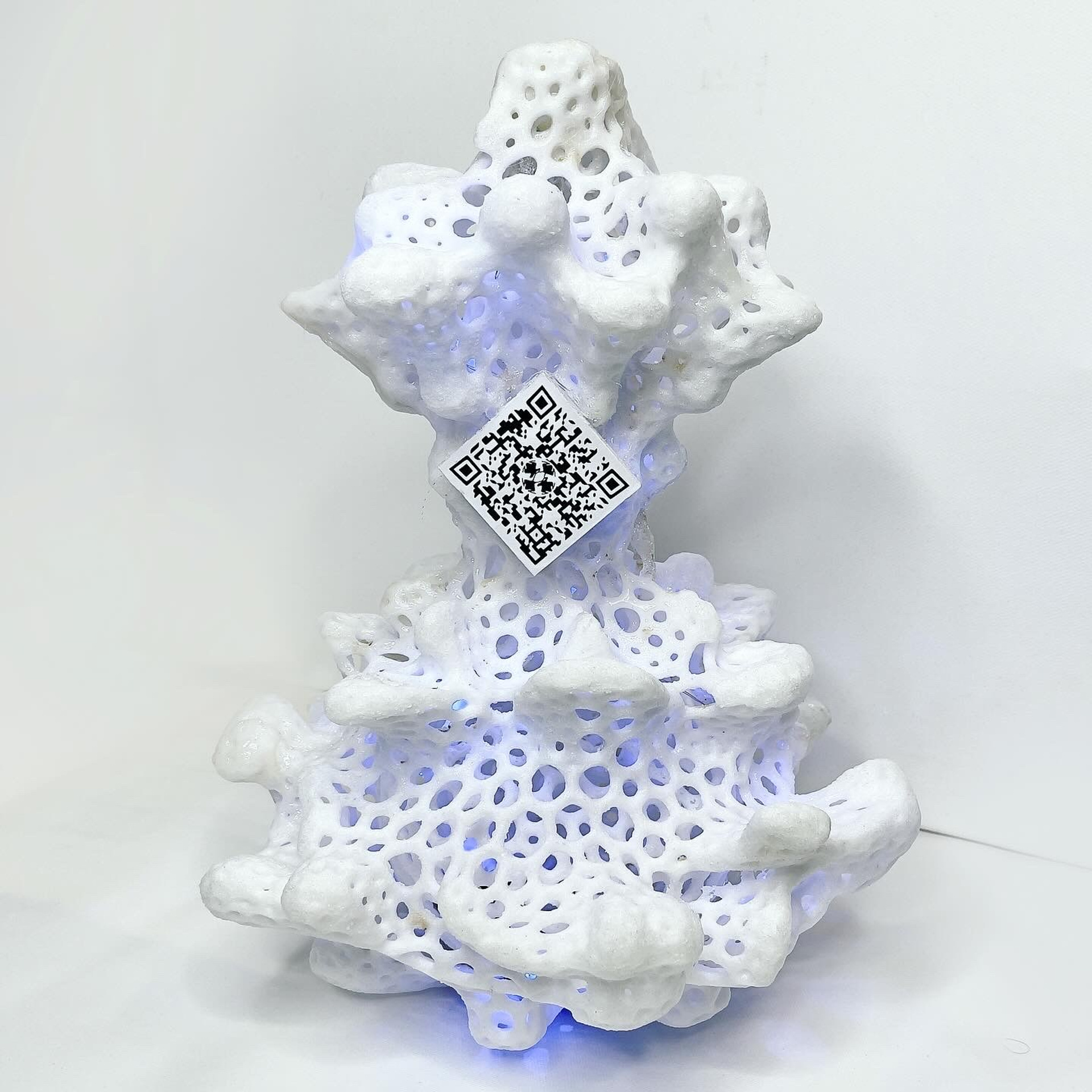 О балансе, равновесии и символическом обмене #92. Саша Малышева ● Художник