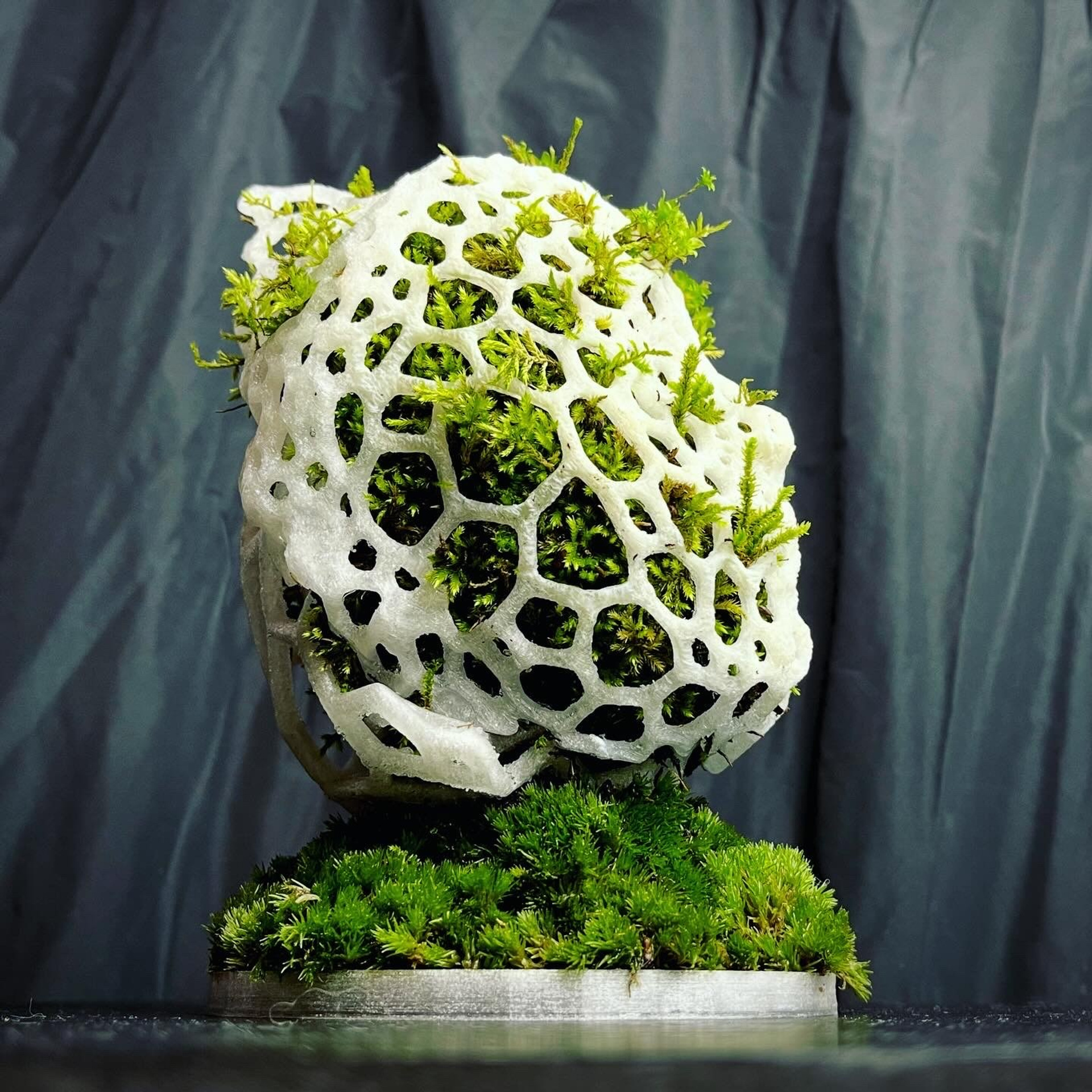 Апперцепция #97