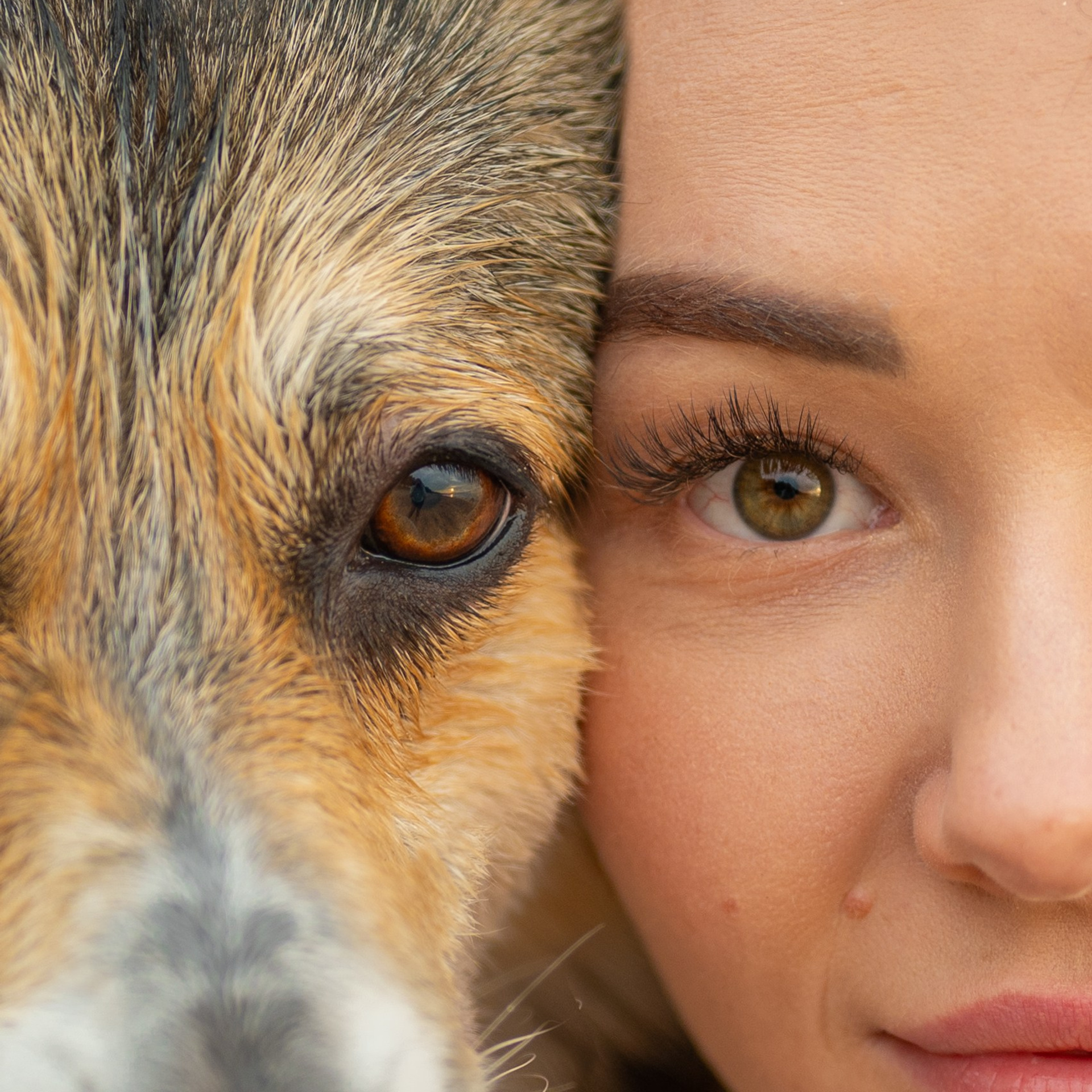 Вы и ваши питомцы