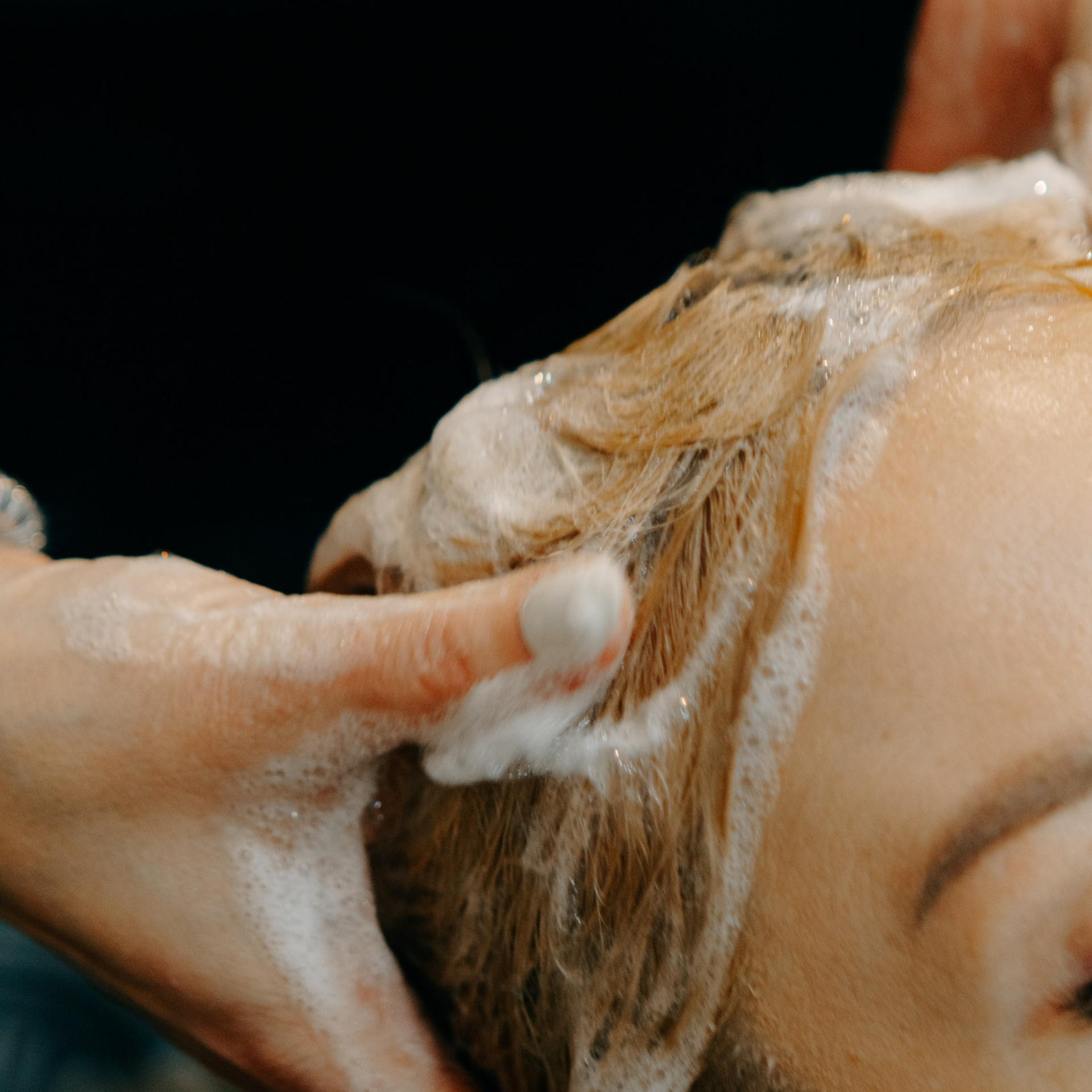 Контент для трихолога. Фотография, которая говорит о тебе