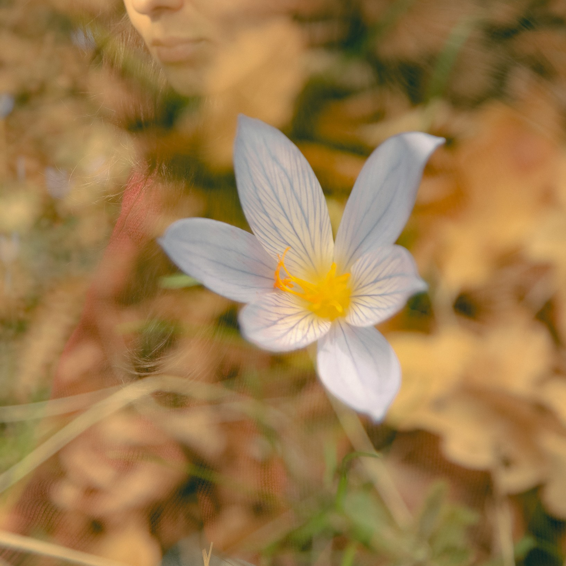 Светик. Фотограф твоей души, снимаю в Крыму и не только