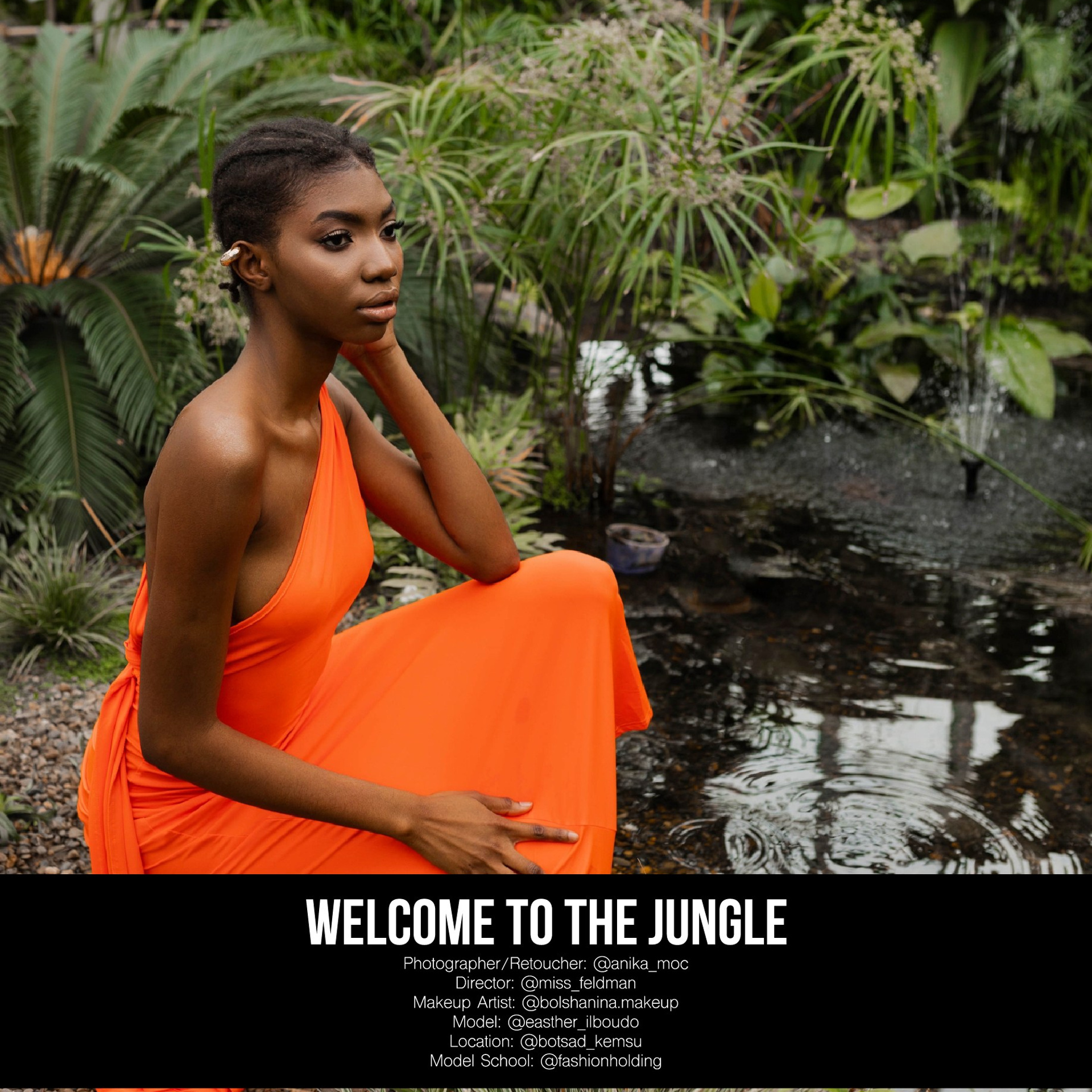 Публикации в журналах. Anika Moc