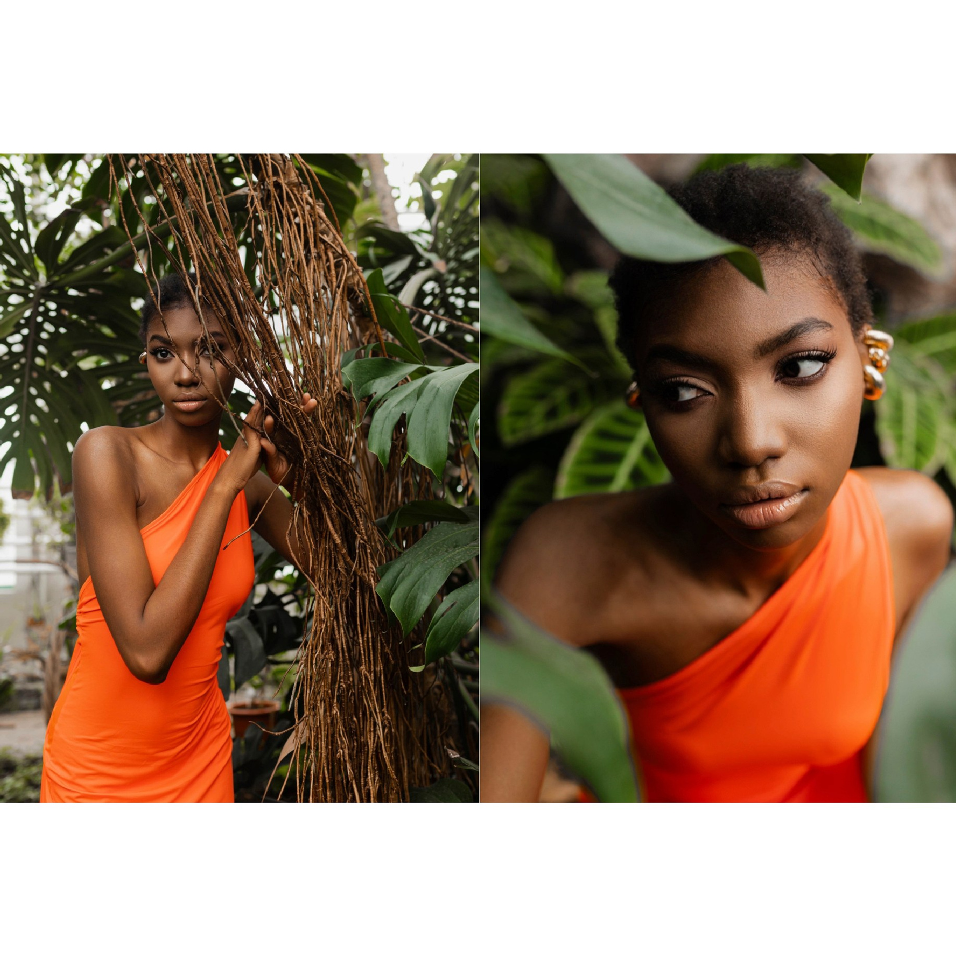 Публикации в журналах. Anika Moc