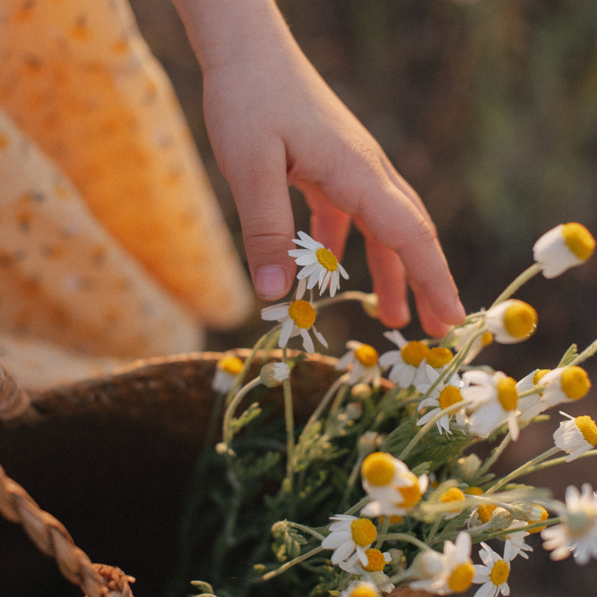 Отзывы. Свадебный и семейный фотограф Волгоград Москва