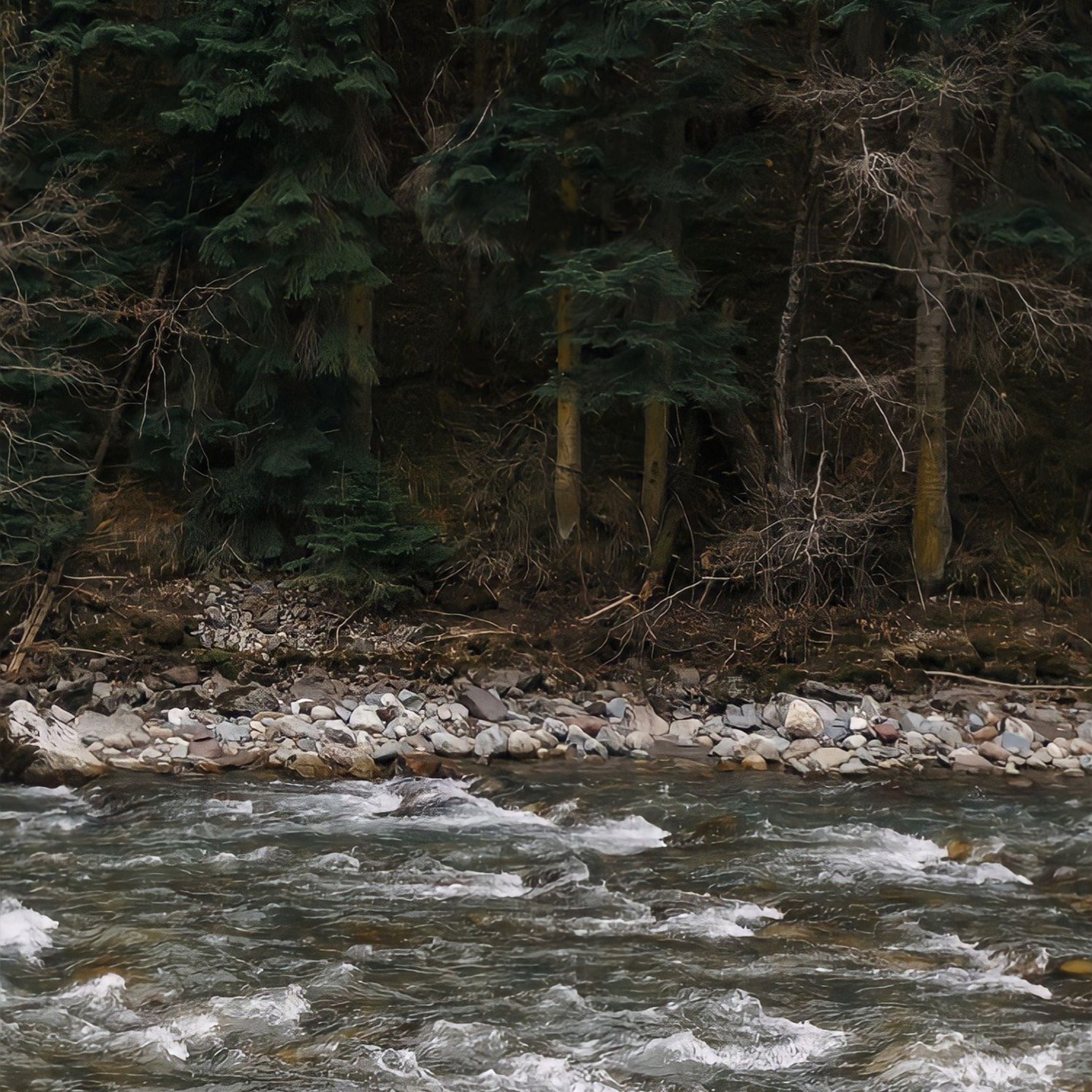 Смена в горах. Творческий лагерь для взрослых