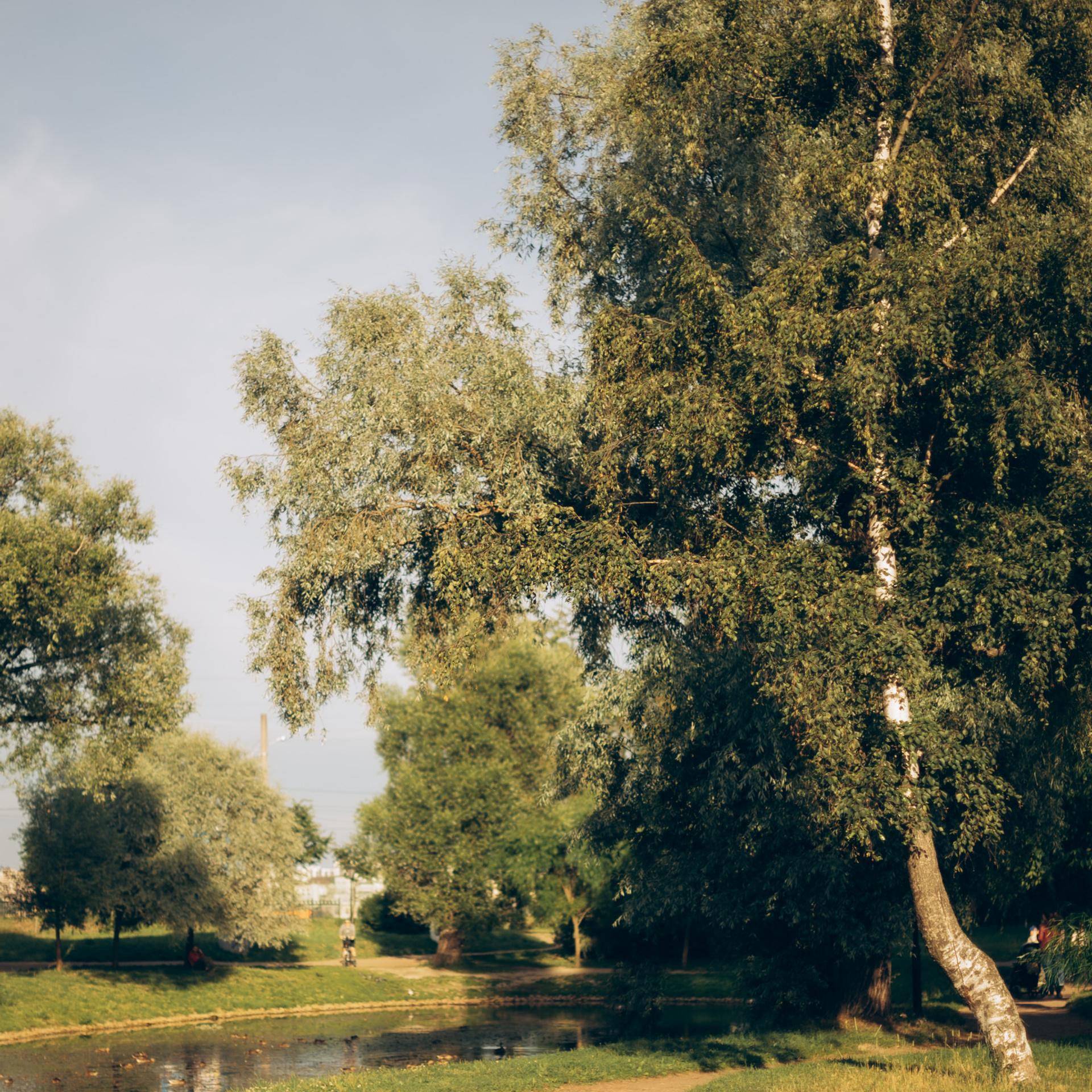 Отзывы. Фотографии о вас настоящих