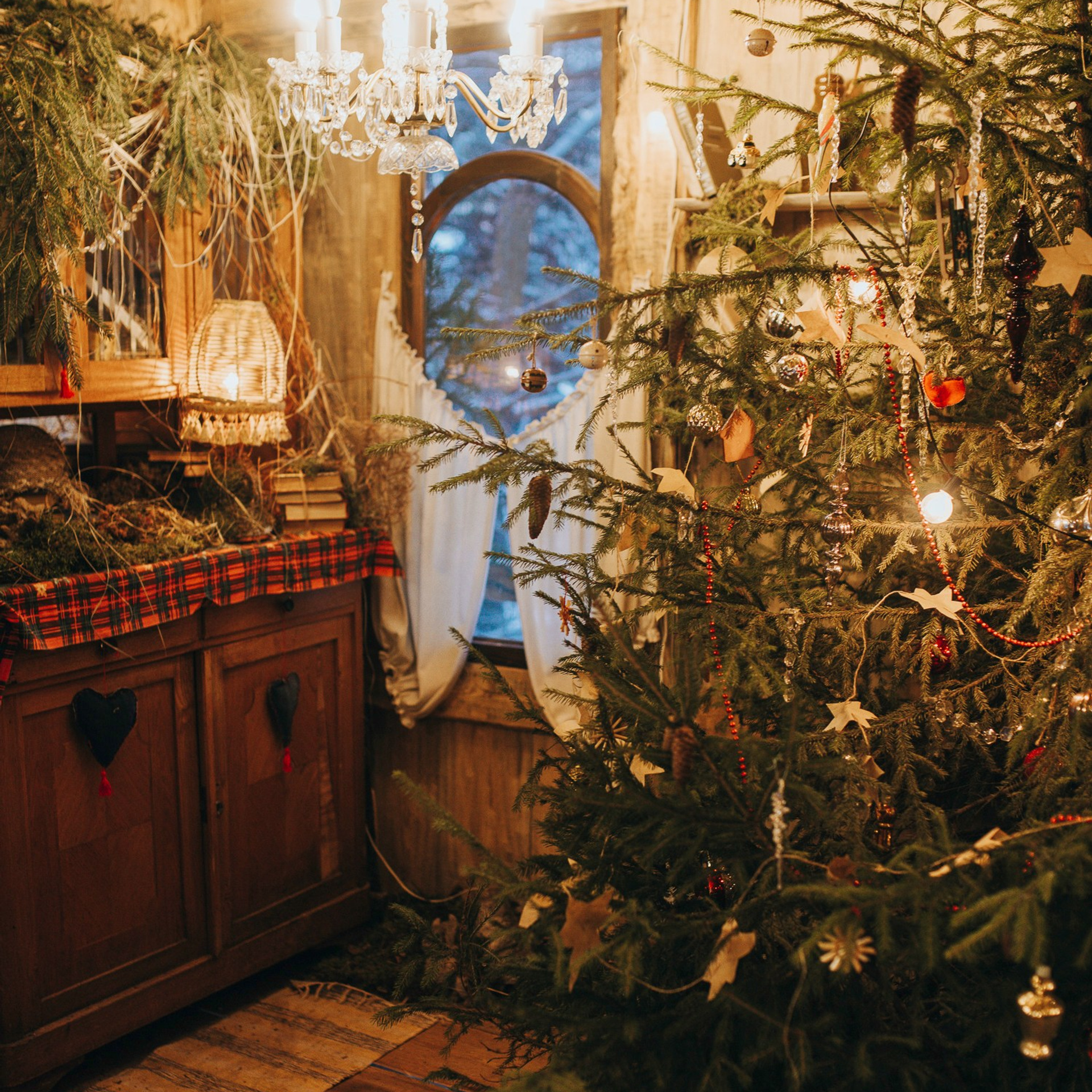 Домик на дереве