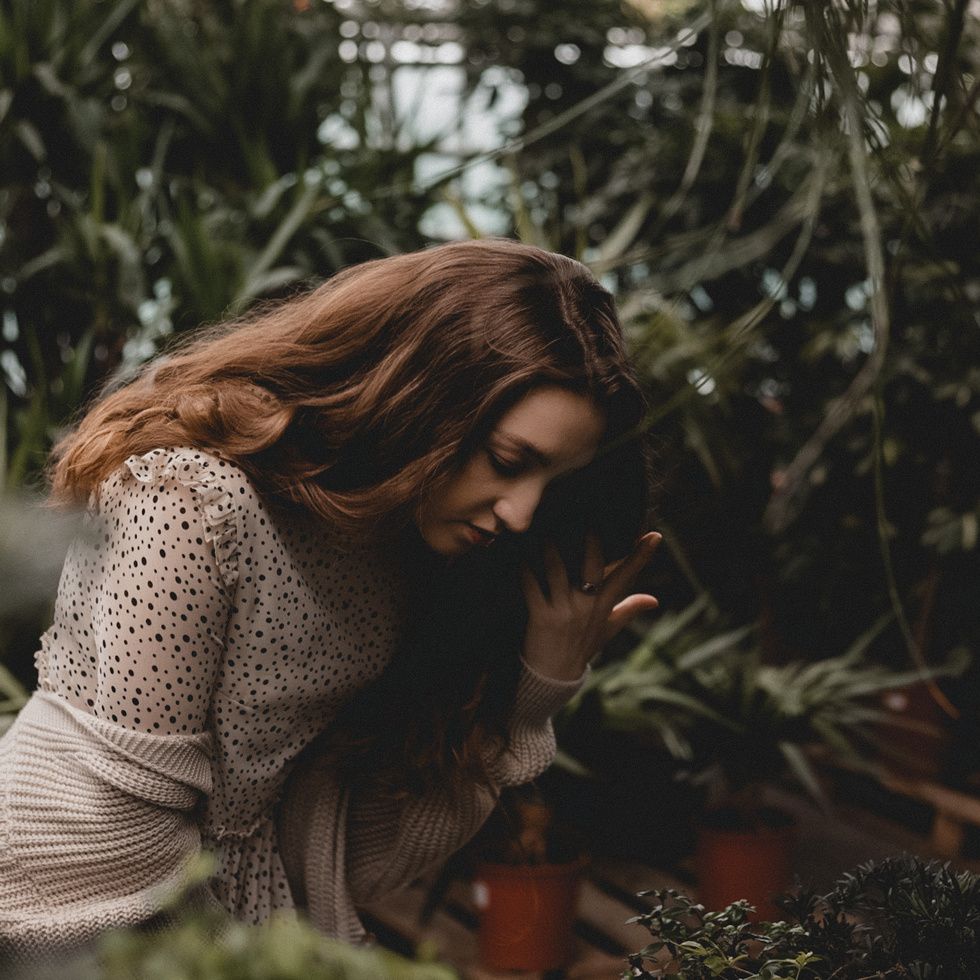 Олеся. Оранжерея. Краснодар