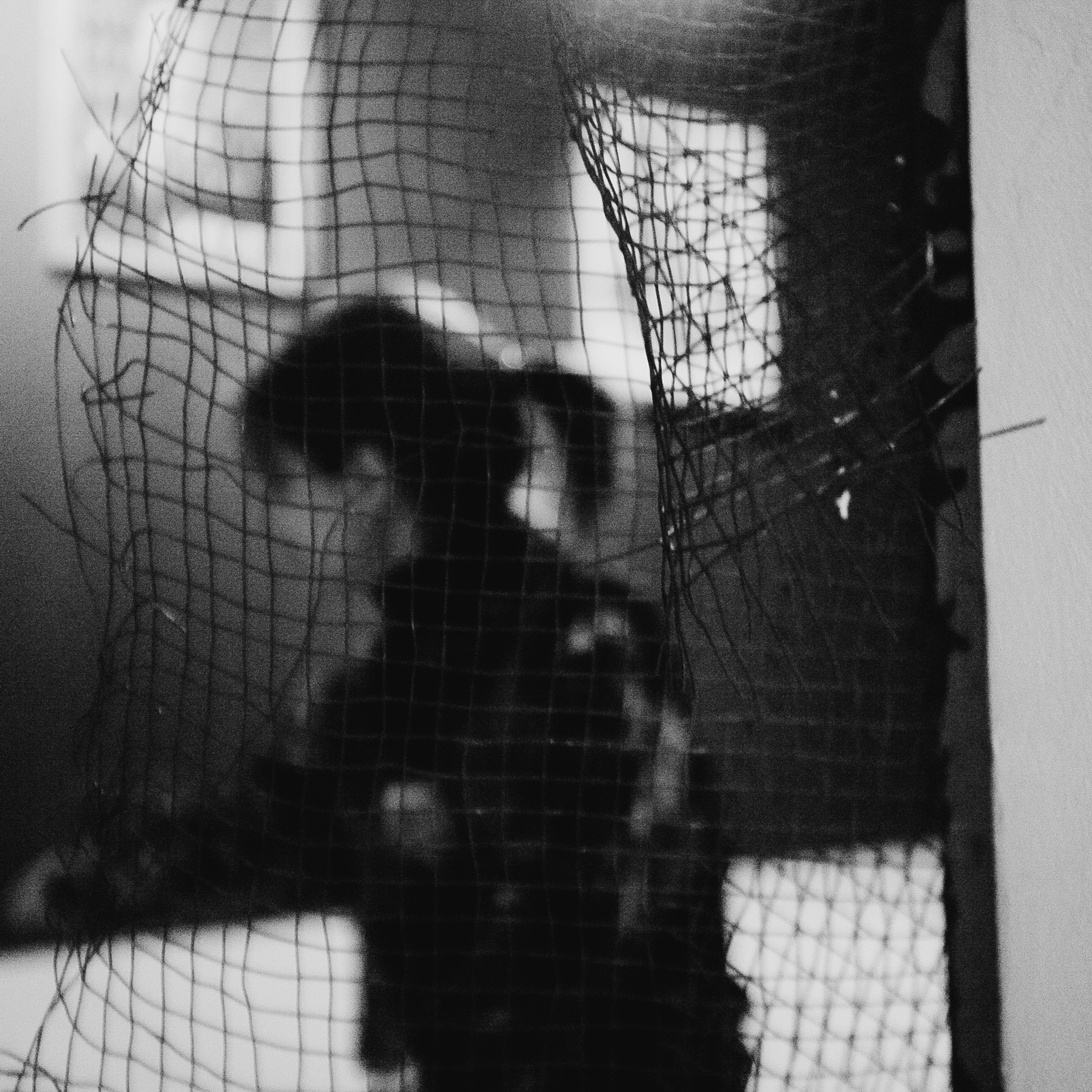 Вера Москва. Выставка