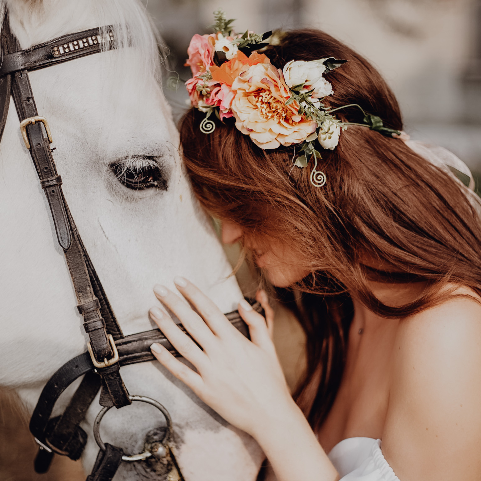 Влада и коняшки)