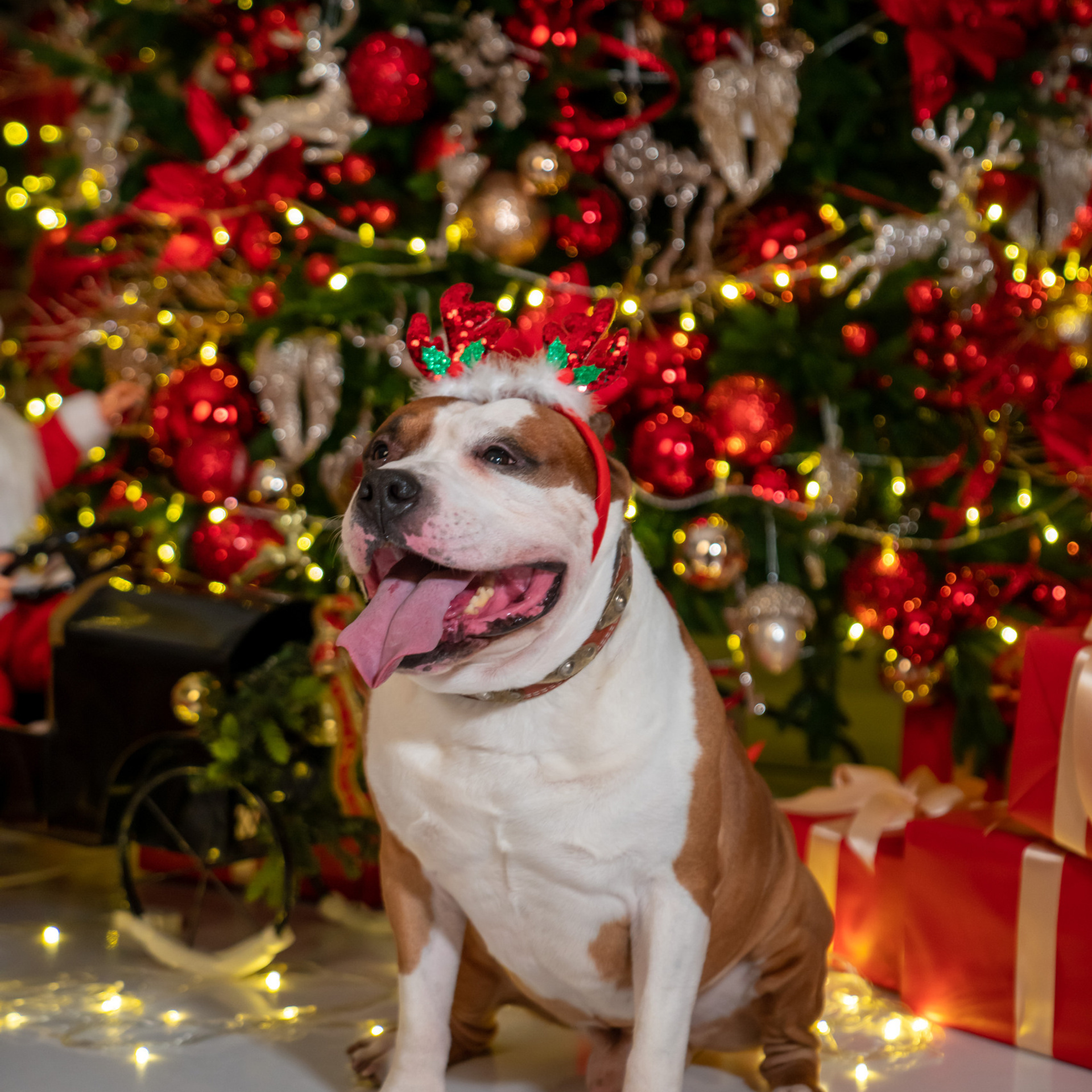 Отзывы. Фотограф Евгения Надрага г. Новый Уренгой